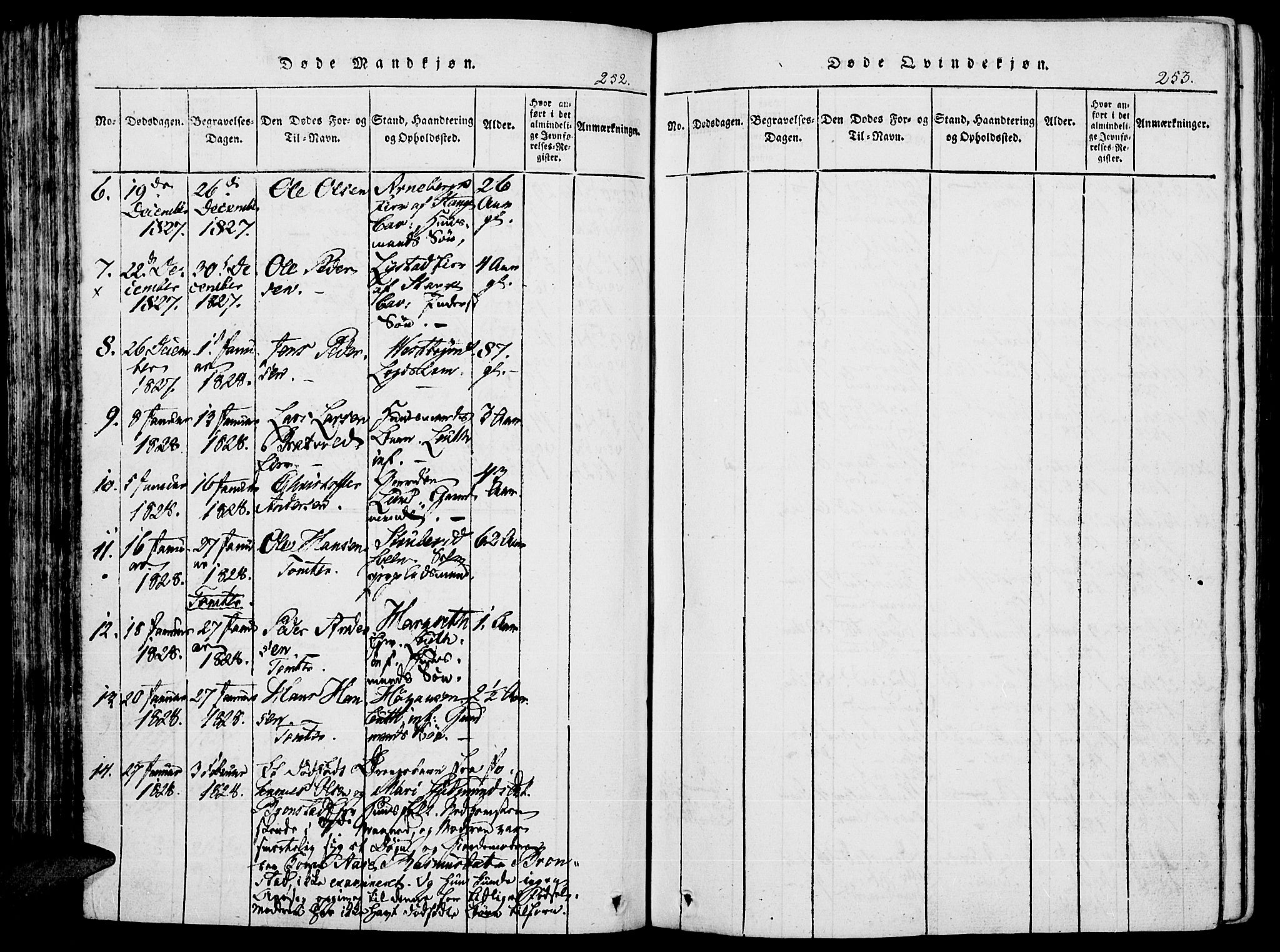 Romedal prestekontor, AV/SAH-PREST-004/K/L0002: Parish register (official) no. 2, 1814-1828, p. 252-253