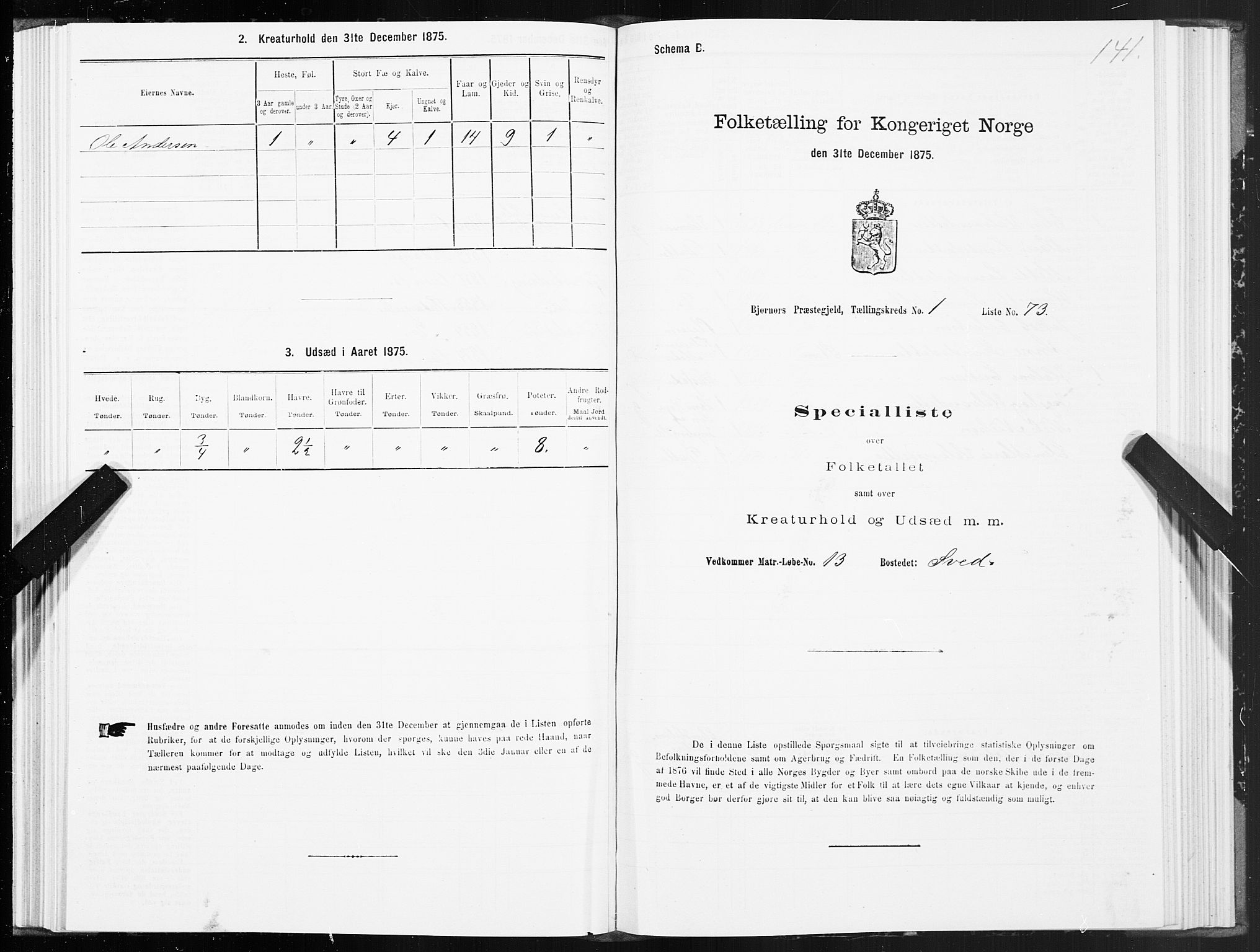 SAT, 1875 census for 1632P Bjørnør, 1875, p. 1141