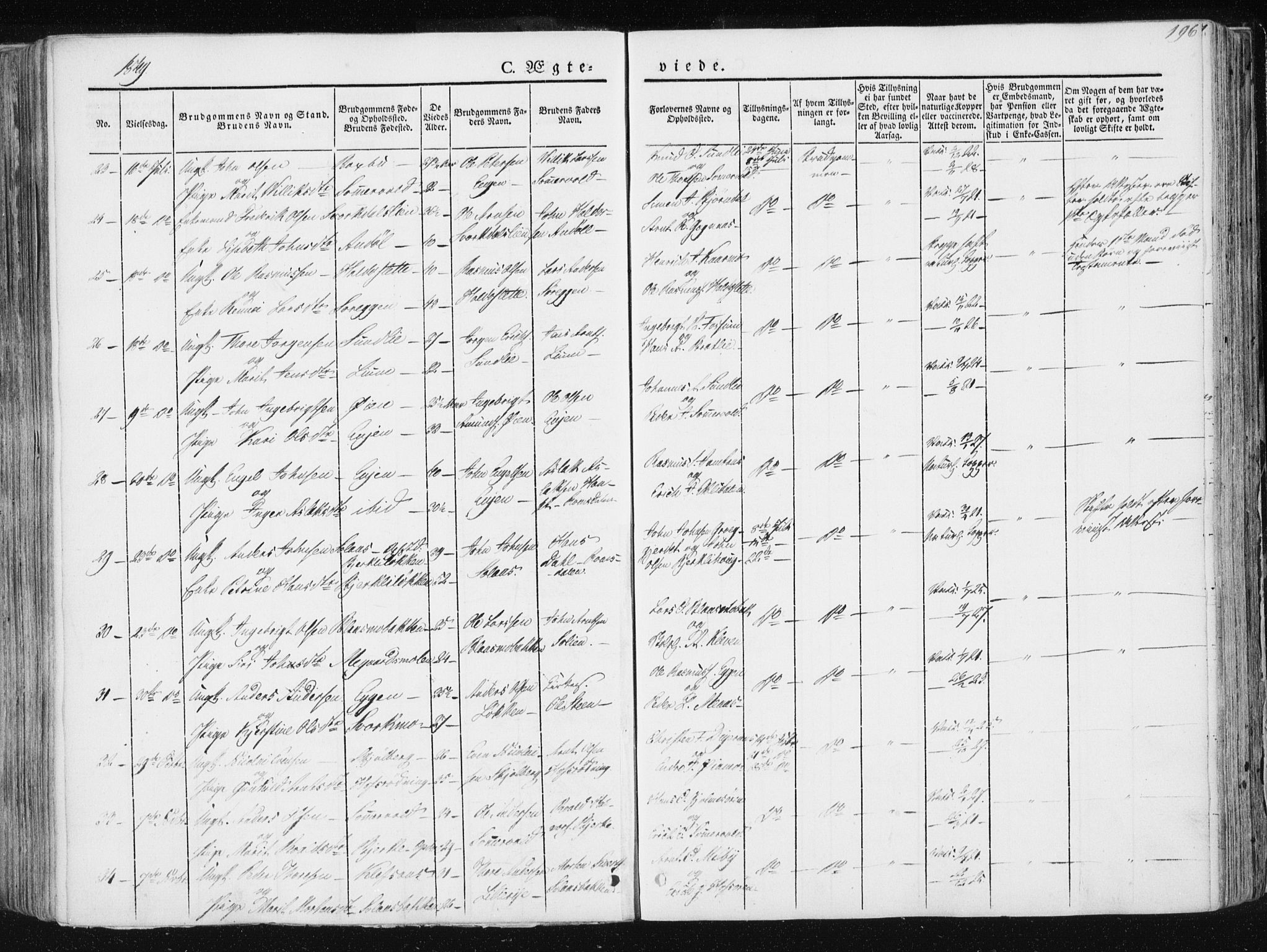 Ministerialprotokoller, klokkerbøker og fødselsregistre - Sør-Trøndelag, SAT/A-1456/668/L0805: Parish register (official) no. 668A05, 1840-1853, p. 196