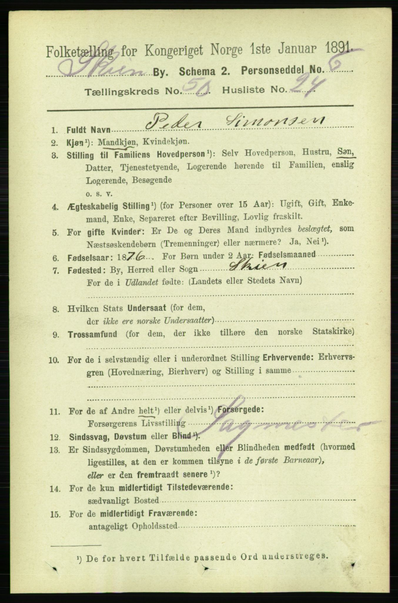 RA, 1891 census for 0806 Skien, 1891, p. 11003