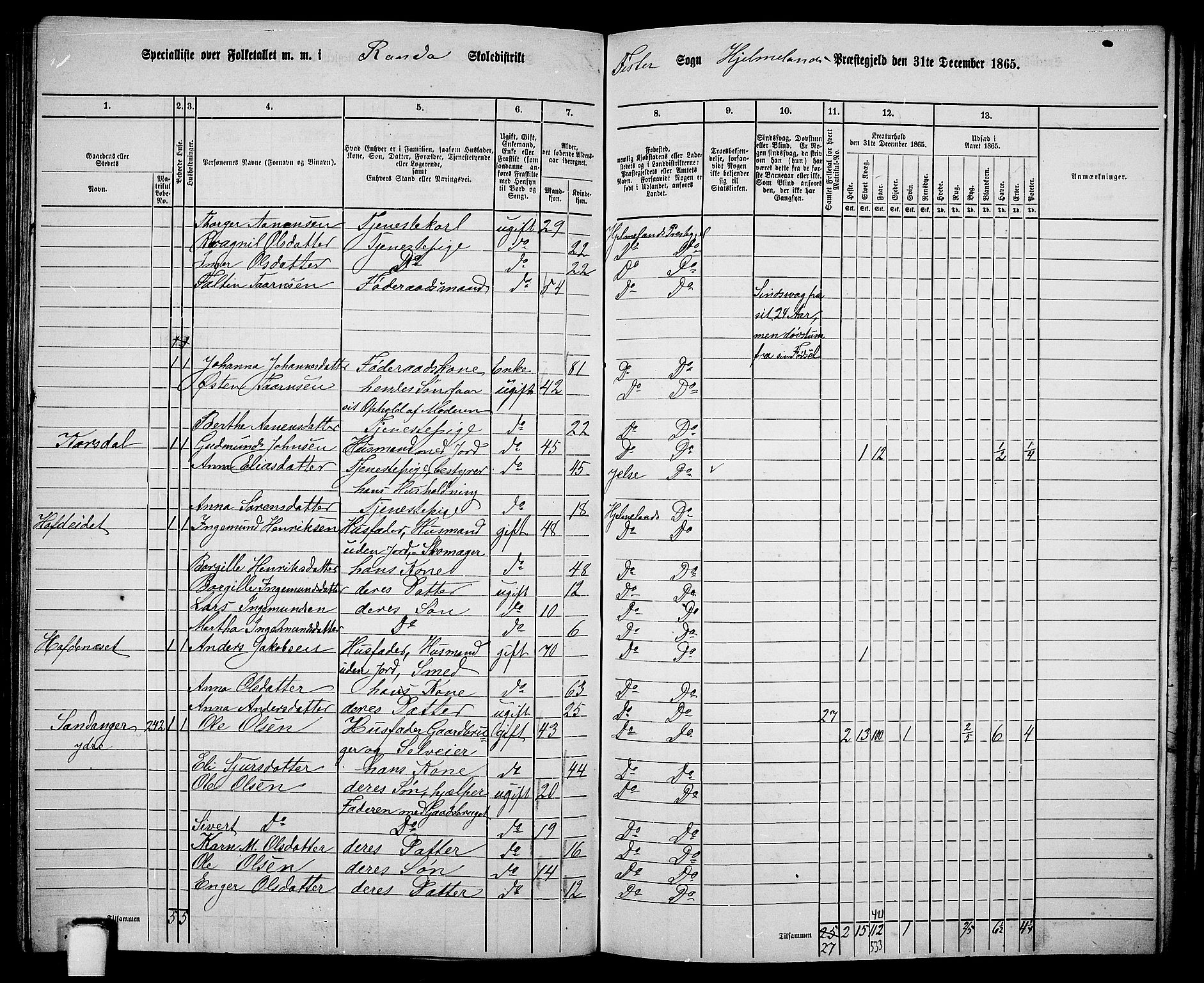 RA, 1865 census for Hjelmeland, 1865, p. 144