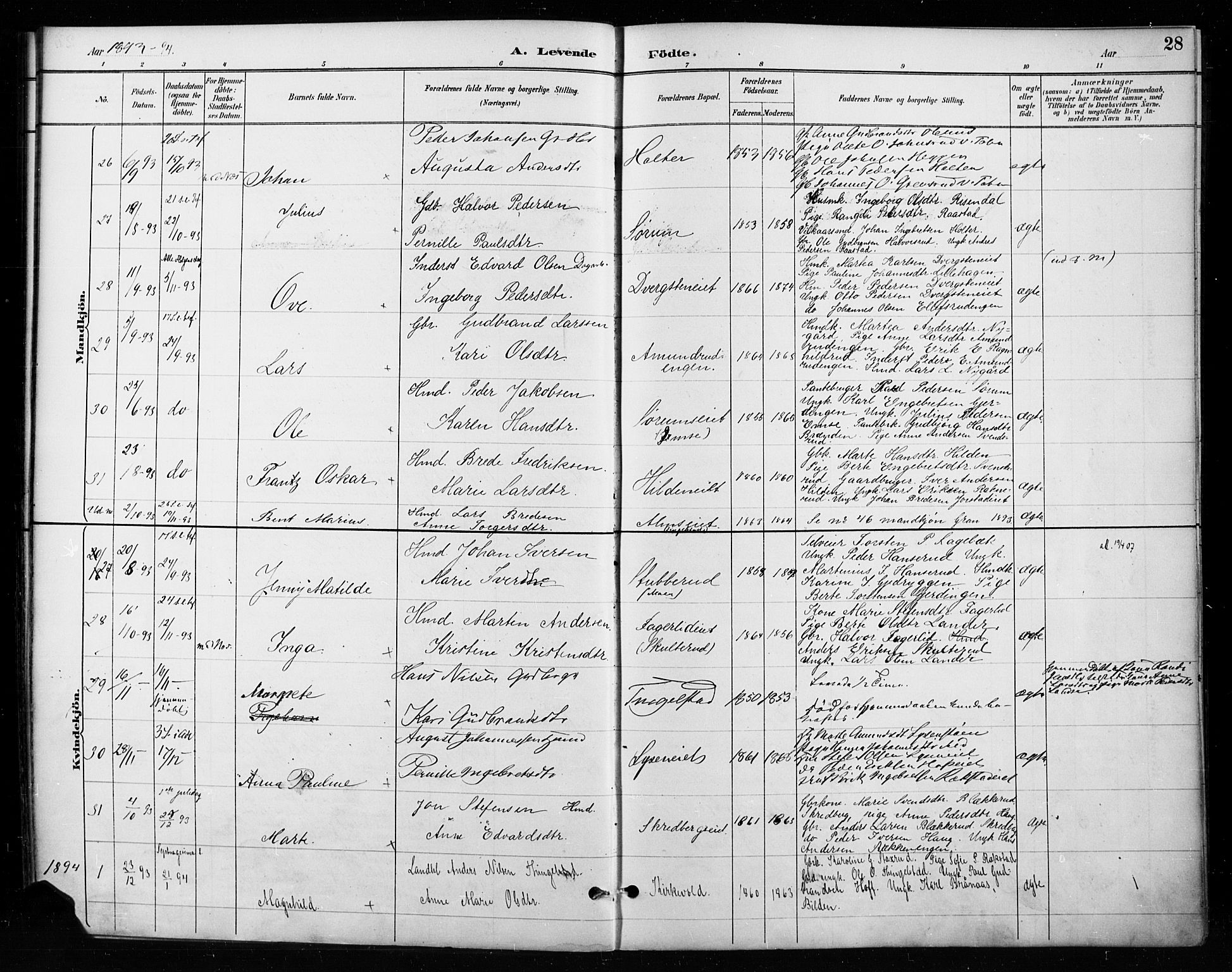 Gran prestekontor, SAH/PREST-112/H/Ha/Haa/L0018: Parish register (official) no. 18, 1889-1899, p. 28