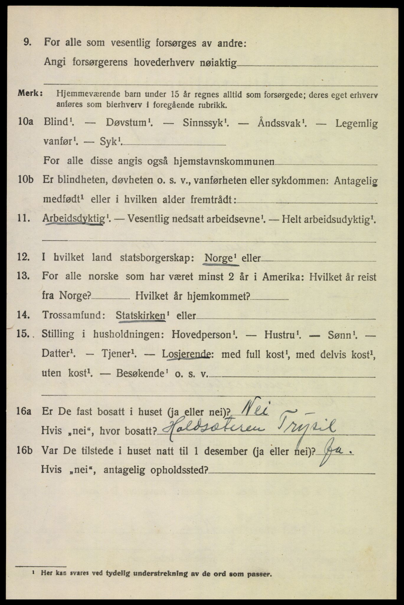 SAH, 1920 census for Trysil, 1920, p. 7104