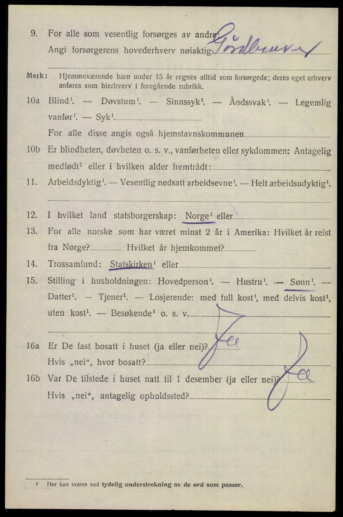 SAKO, 1920 census for Nes (Buskerud), 1920, p. 3053