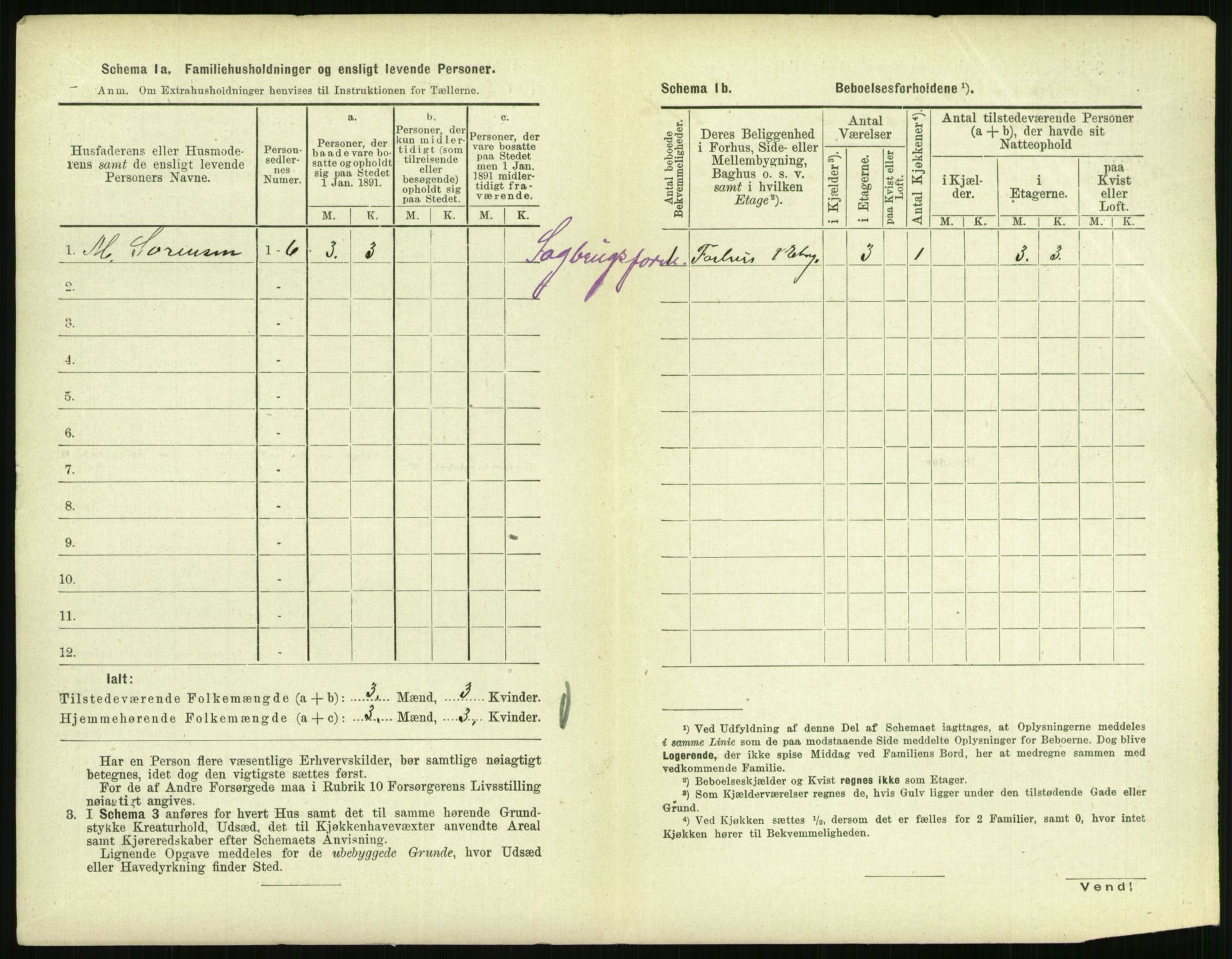 RA, 1891 census for 0707 Larvik, 1891, p. 1748