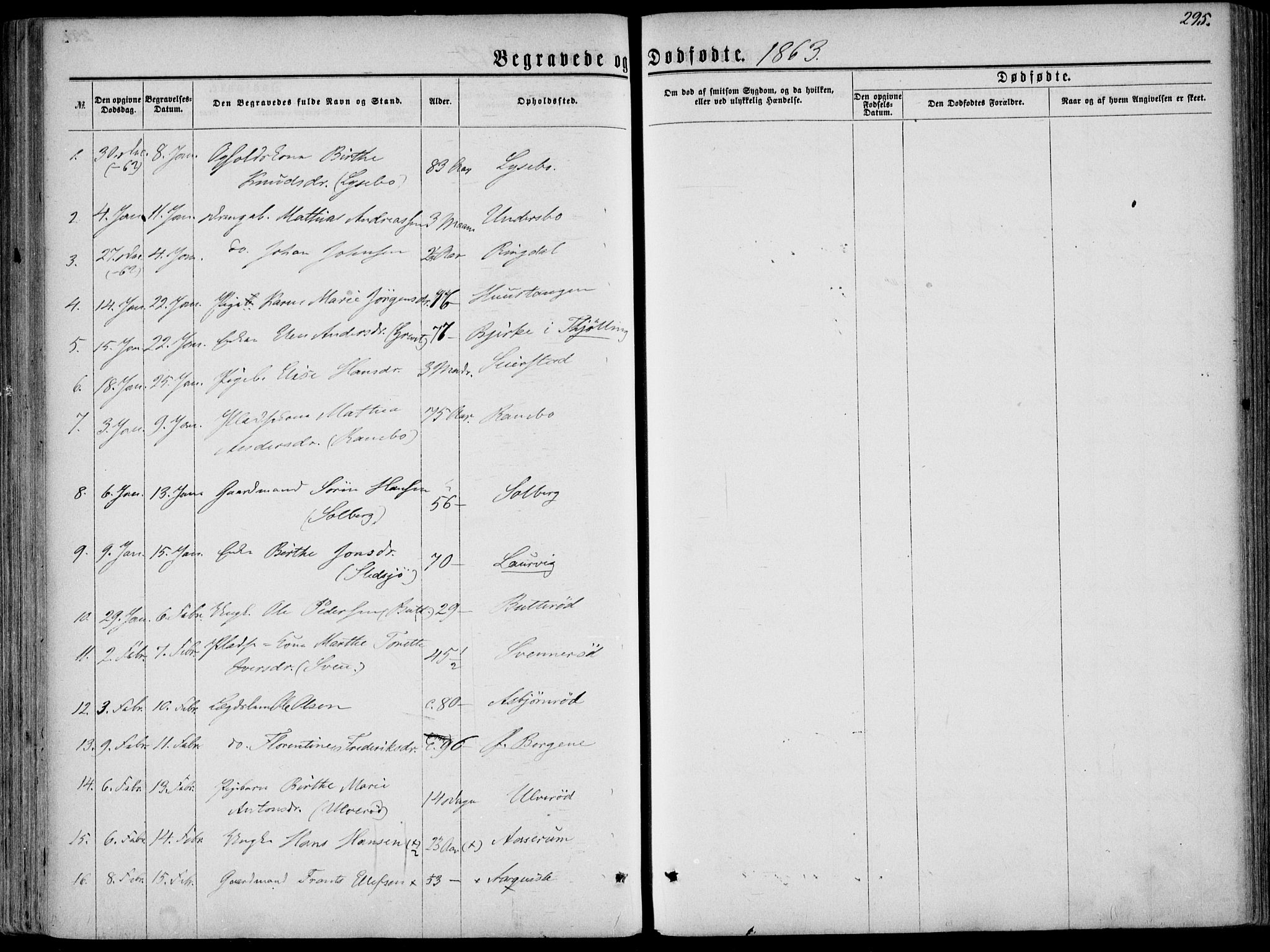 Hedrum kirkebøker, AV/SAKO-A-344/F/Fa/L0007: Parish register (official) no. I 7, 1857-1868, p. 295