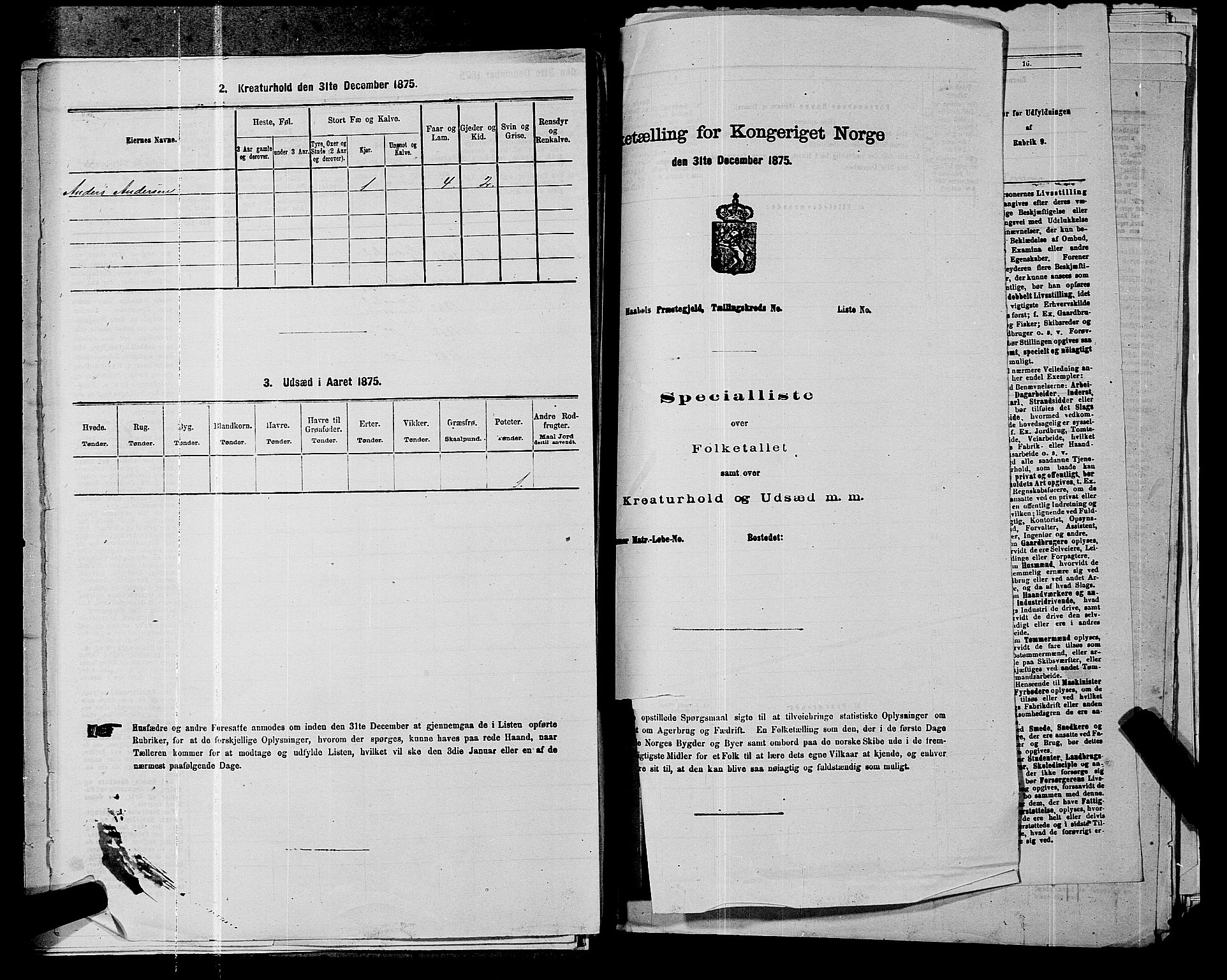 SAKO, 1875 census for 0629P Sandsvær, 1875, p. 707