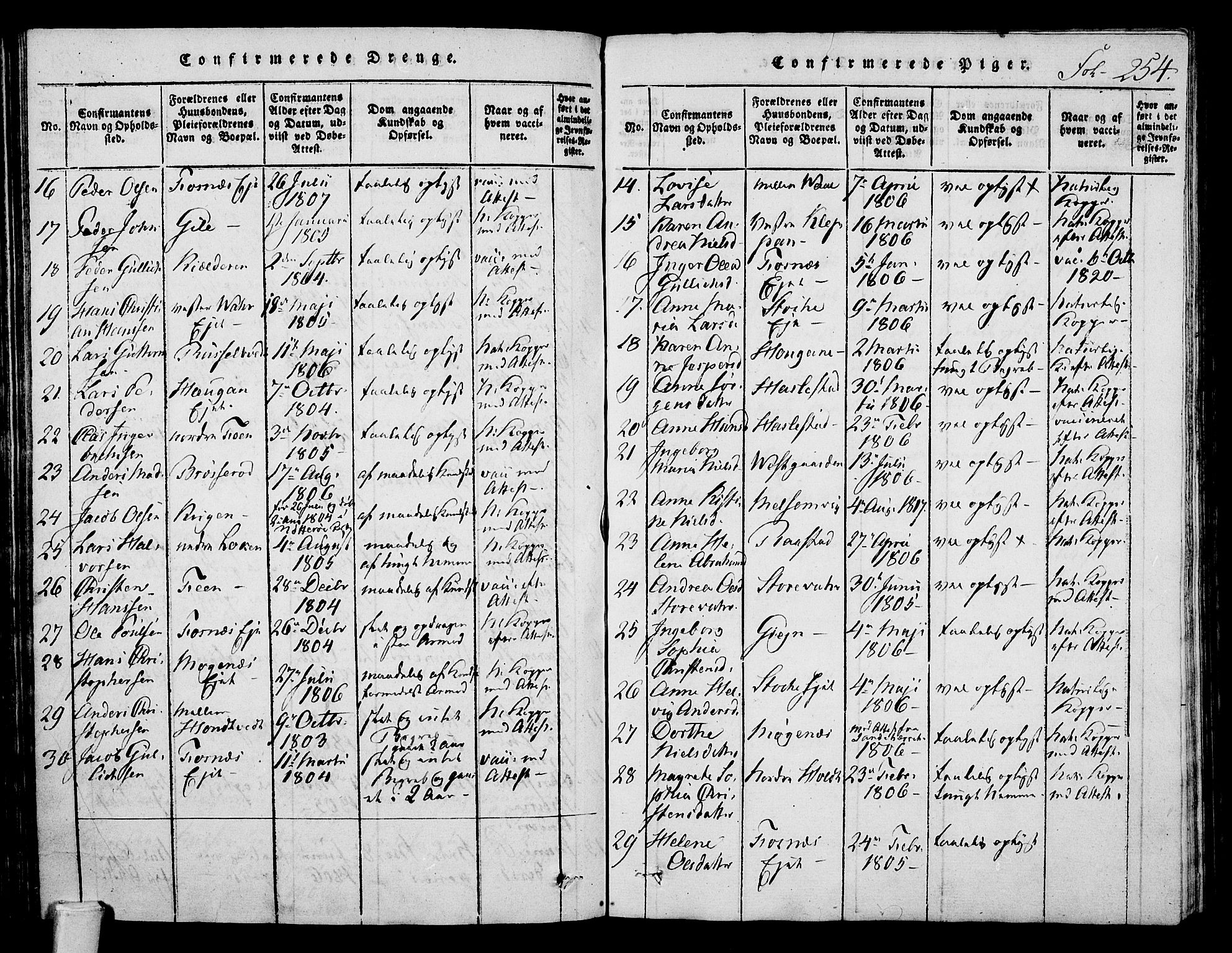 Stokke kirkebøker, AV/SAKO-A-320/F/Fa/L0005: Parish register (official) no. I 5, 1815-1826, p. 254