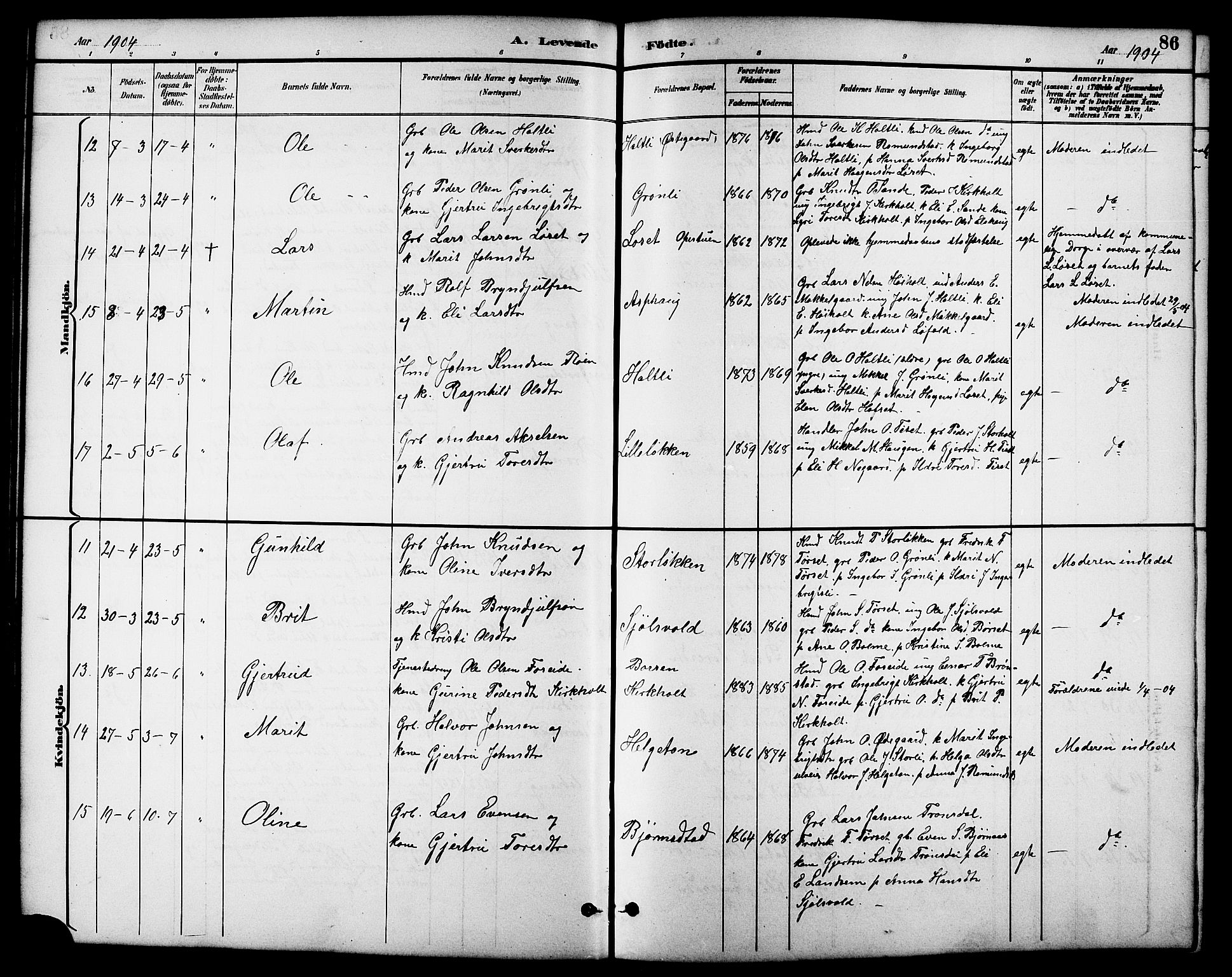 Ministerialprotokoller, klokkerbøker og fødselsregistre - Møre og Romsdal, AV/SAT-A-1454/598/L1078: Parish register (copy) no. 598C03, 1892-1909, p. 86