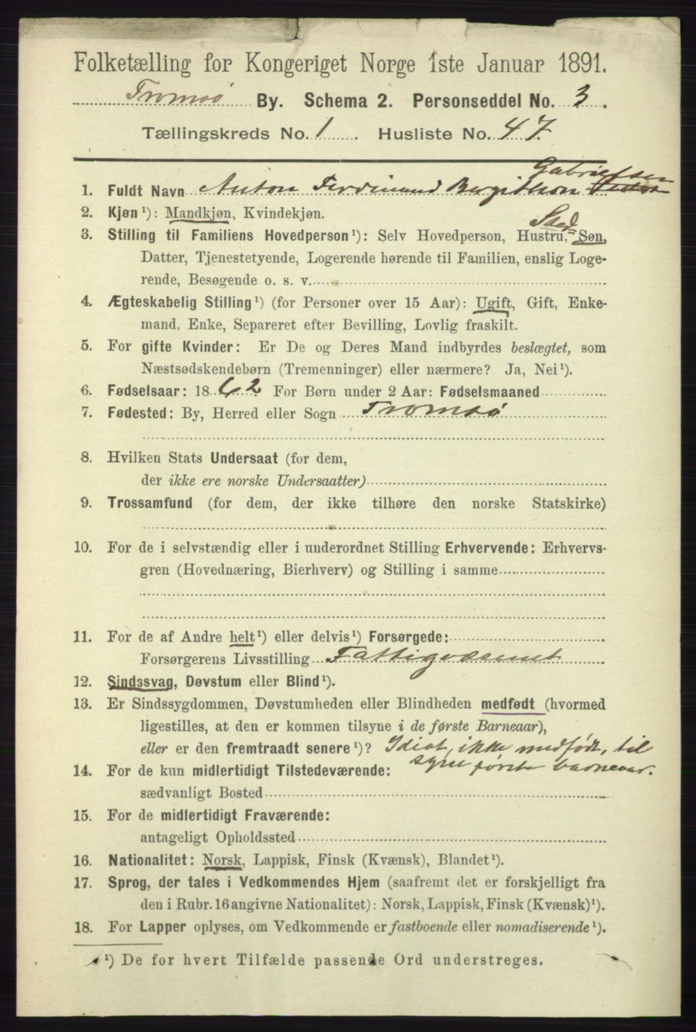 RA, 1891 census for 1902 Tromsø, 1891, p. 731