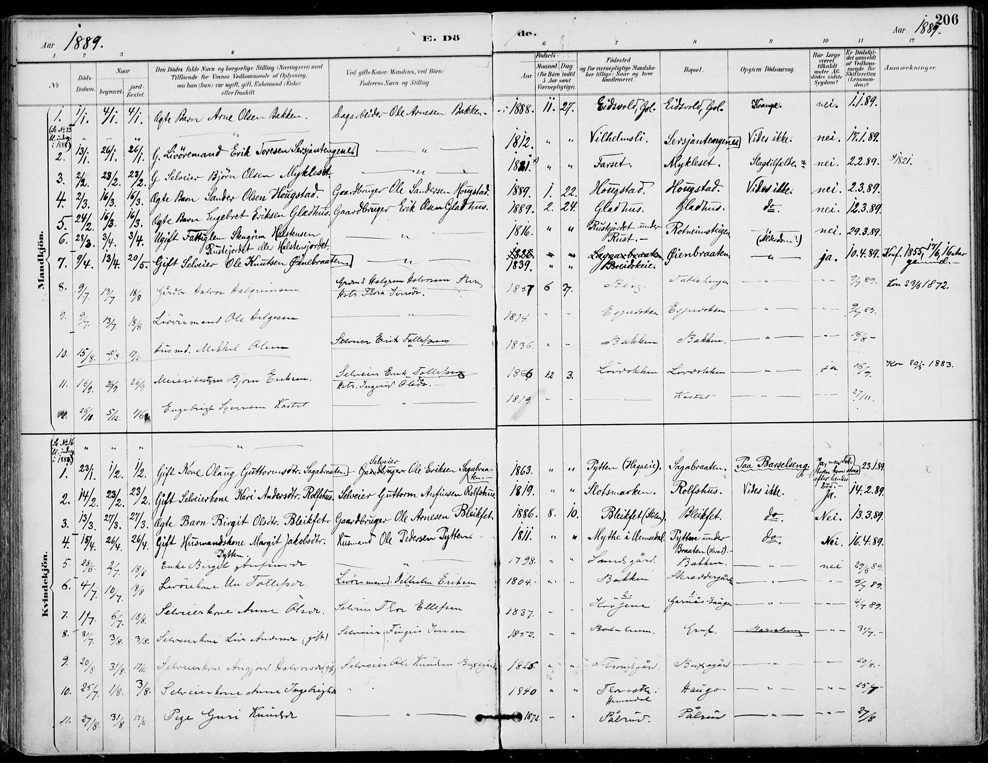 Gol kirkebøker, AV/SAKO-A-226/F/Fa/L0005: Parish register (official) no. I 5, 1887-1900, p. 206