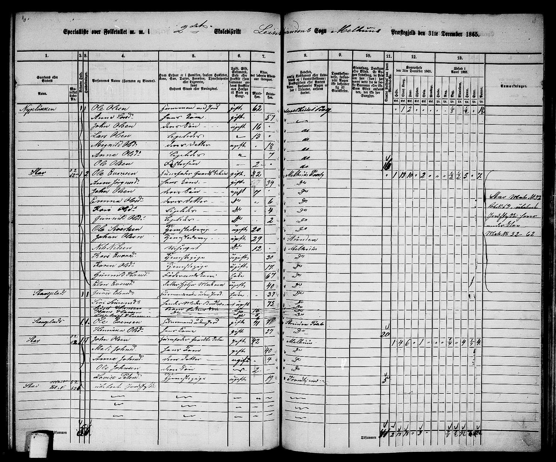 RA, 1865 census for Melhus, 1865, p. 222