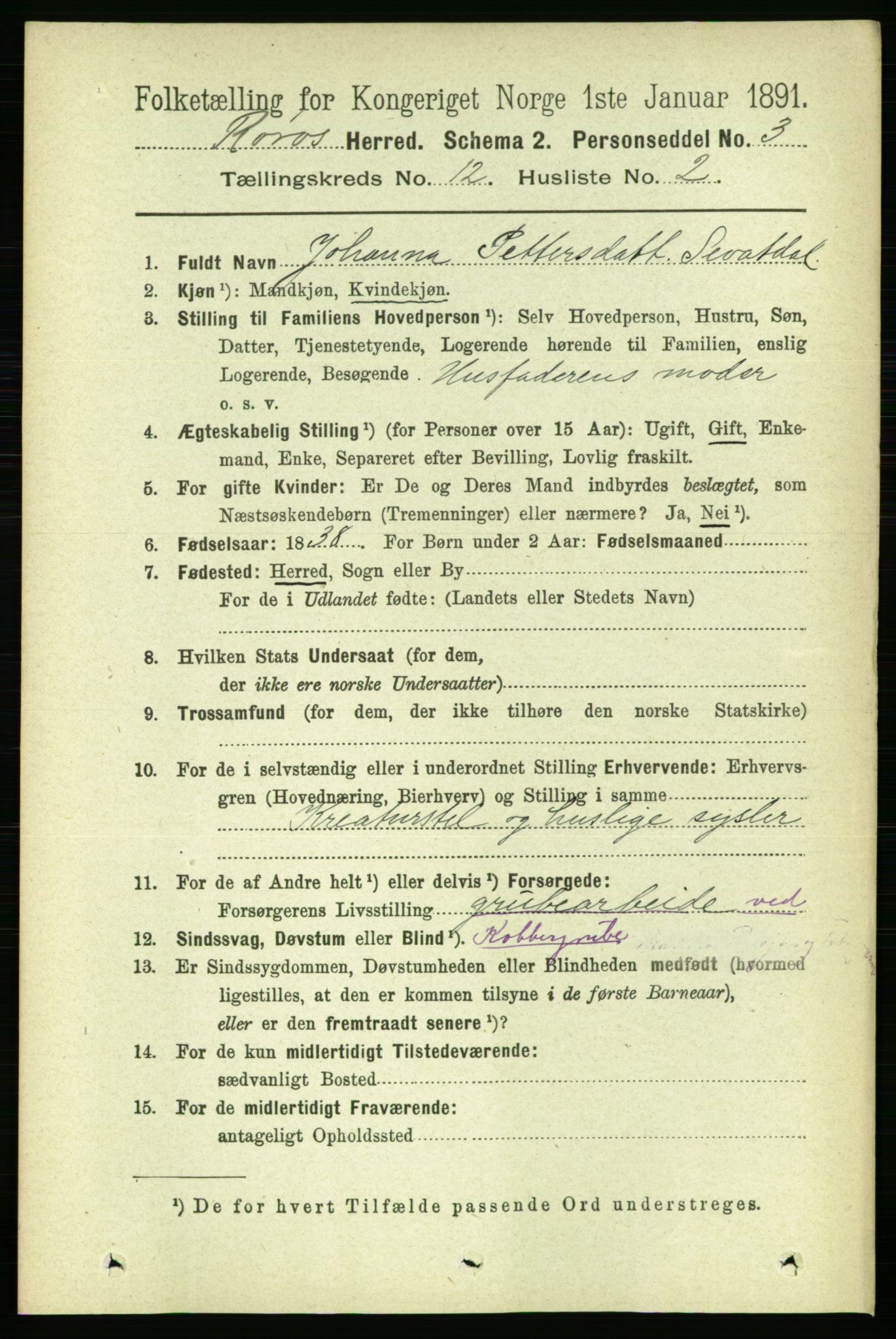 RA, 1891 census for 1640 Røros, 1891, p. 2378