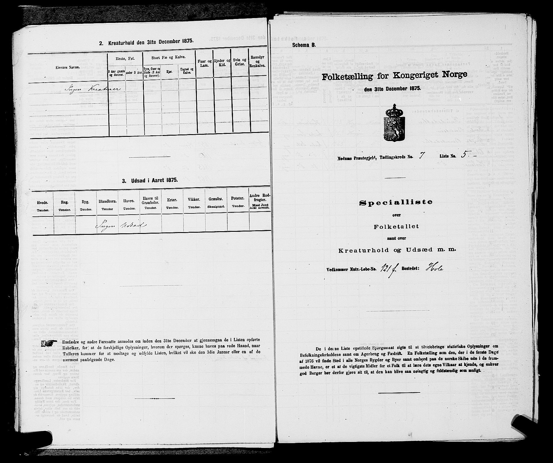 SAKO, 1875 census for 0623P Modum, 1875, p. 739