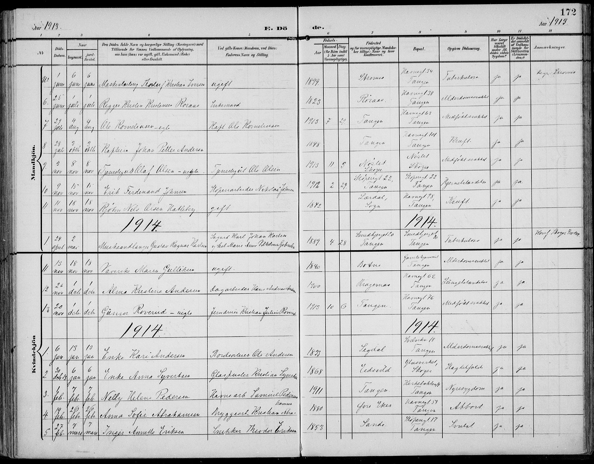 Strømsø kirkebøker, AV/SAKO-A-246/F/Fb/L0008: Parish register (official) no. II 8, 1902-1933, p. 172