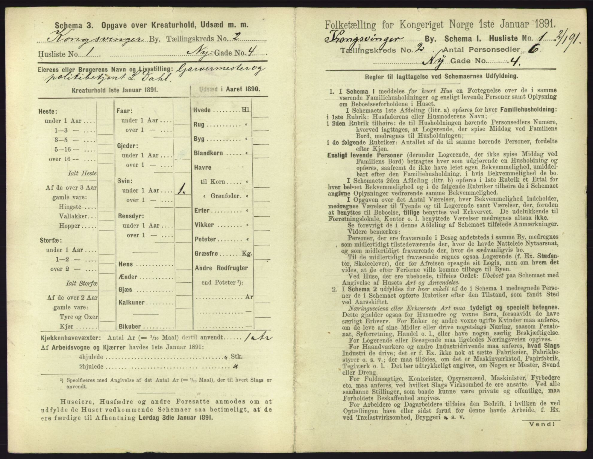 RA, 1891 census for 0402 Kongsvinger, 1891, p. 123