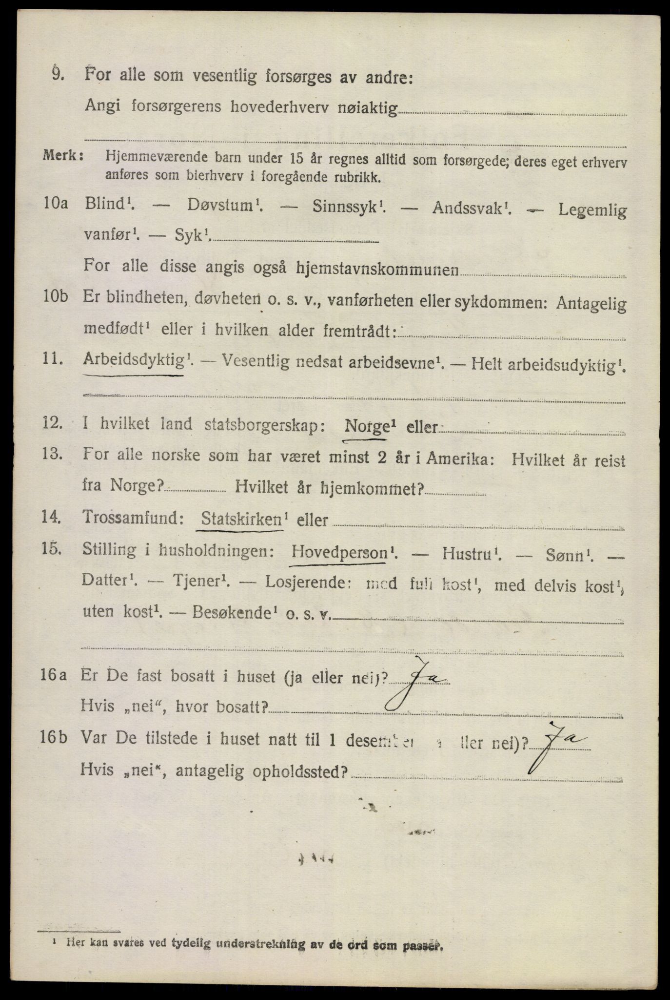 SAKO, 1920 census for Hemsedal, 1920, p. 2963