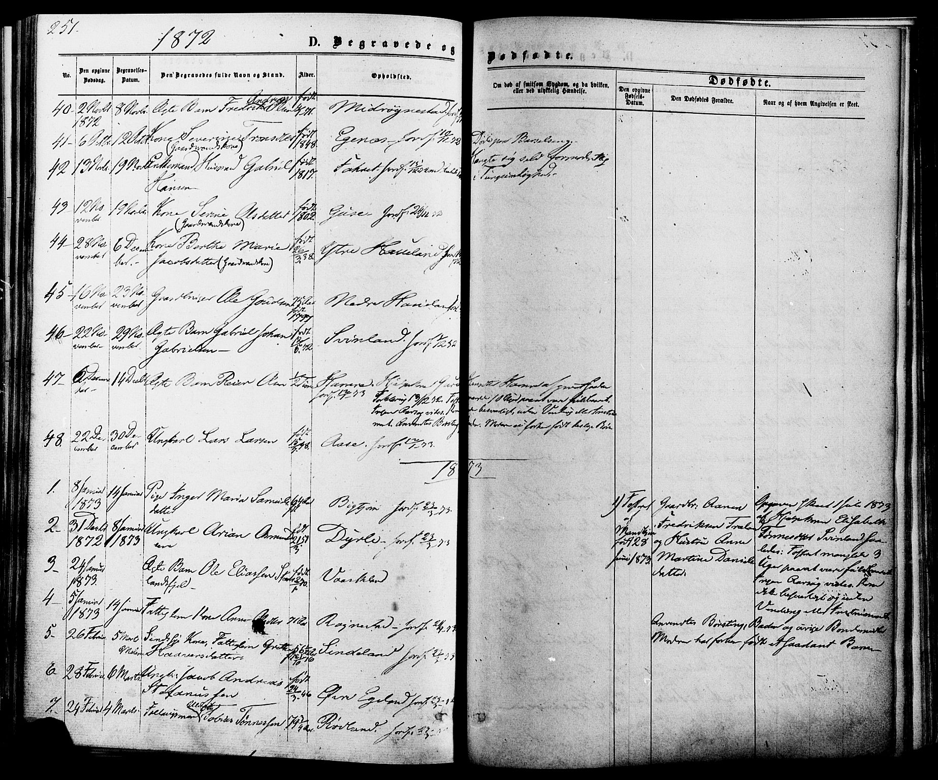 Kvinesdal sokneprestkontor, AV/SAK-1111-0026/F/Fa/Fab/L0007: Parish register (official) no. A 7, 1870-1885, p. 251