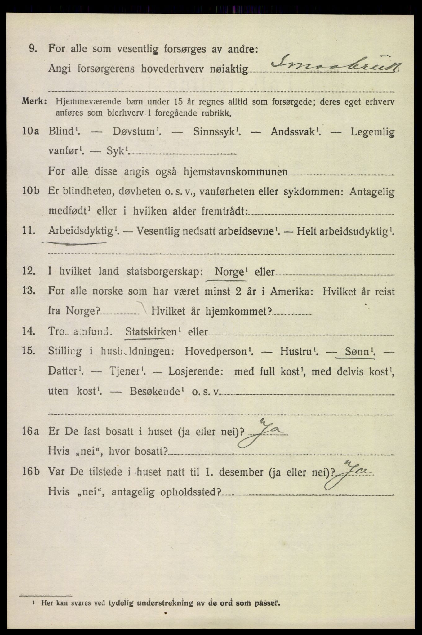 SAH, 1920 census for Lom, 1920, p. 3807