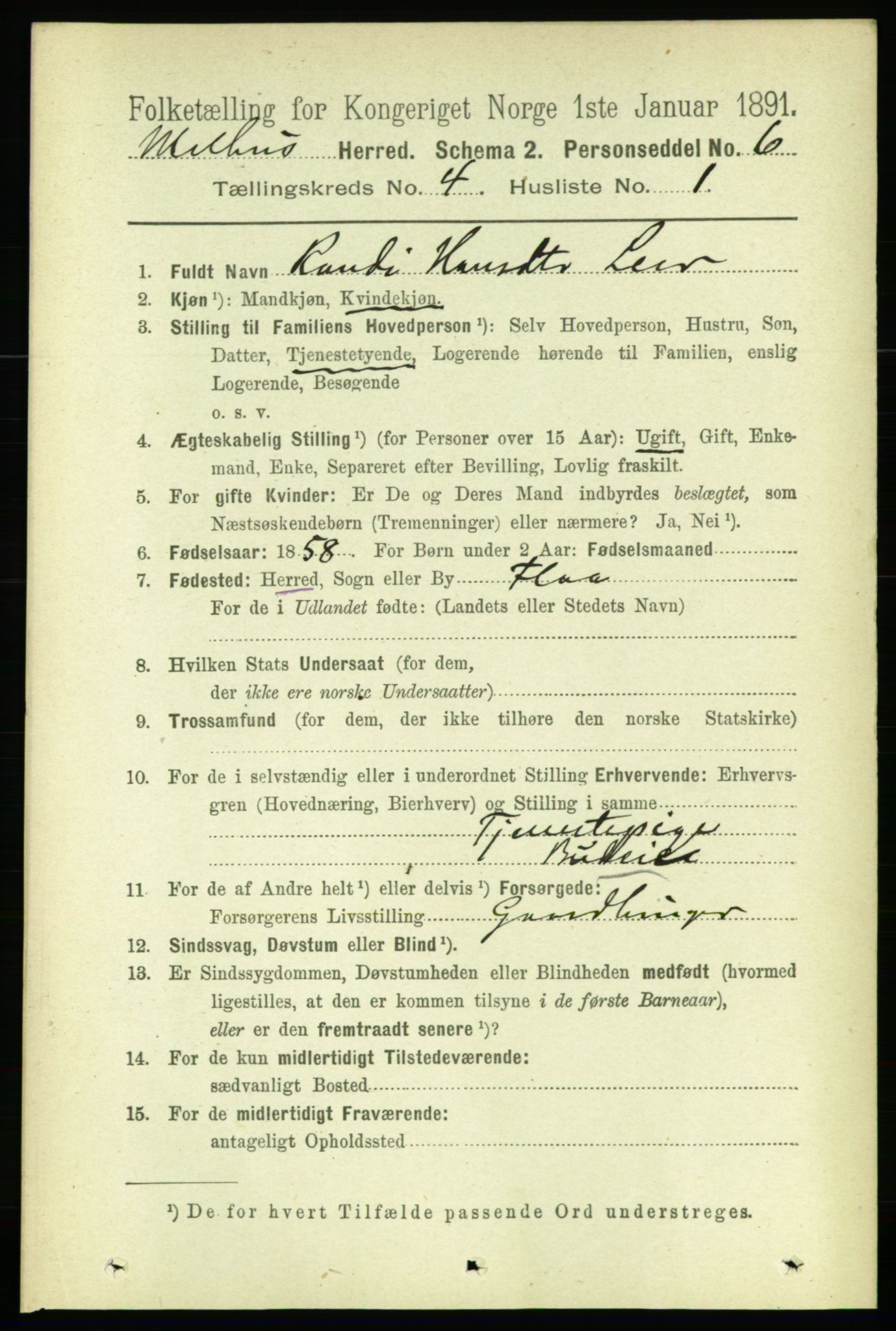 RA, 1891 census for 1653 Melhus, 1891, p. 1982