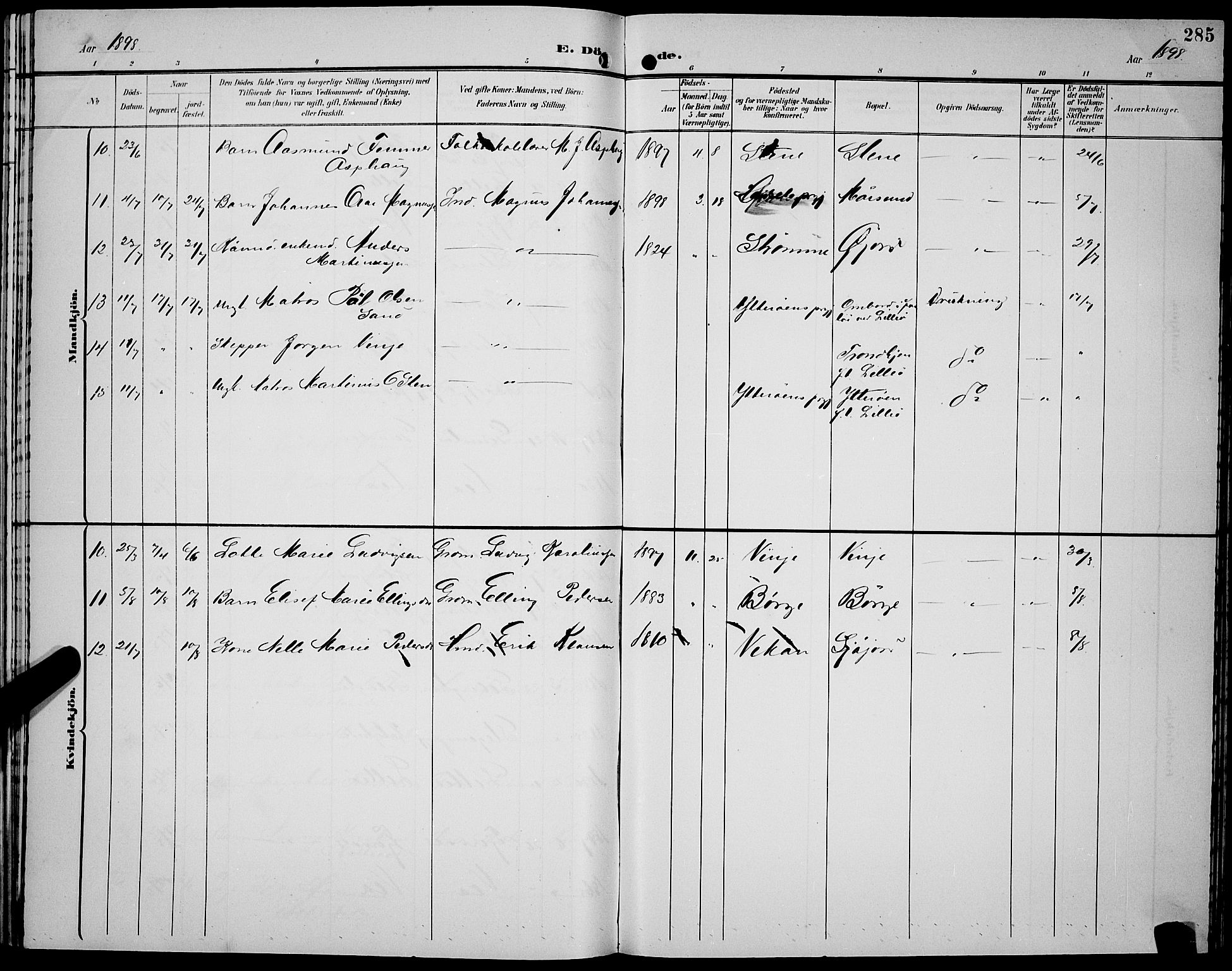 Ministerialprotokoller, klokkerbøker og fødselsregistre - Nordland, AV/SAT-A-1459/891/L1316: Parish register (copy) no. 891C05, 1894-1898, p. 285