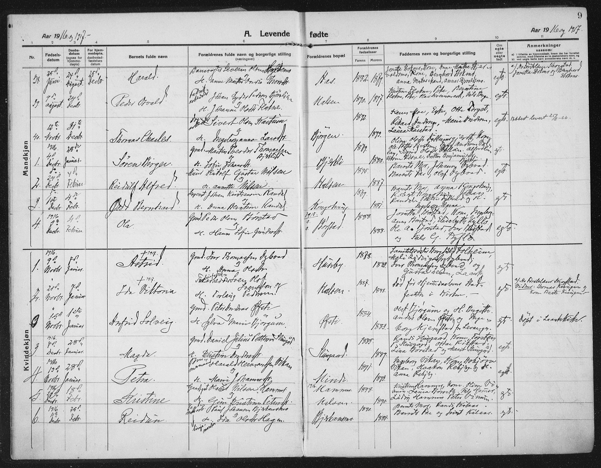 Ministerialprotokoller, klokkerbøker og fødselsregistre - Nord-Trøndelag, SAT/A-1458/709/L0083: Parish register (official) no. 709A23, 1916-1928, p. 9