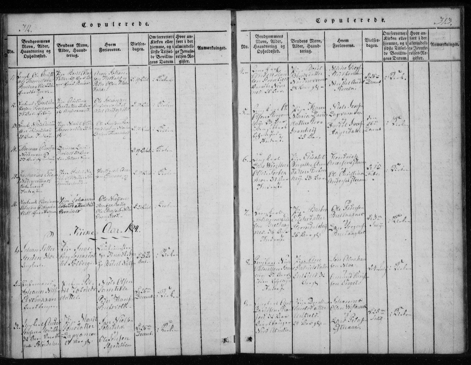 Ministerialprotokoller, klokkerbøker og fødselsregistre - Nordland, AV/SAT-A-1459/825/L0353: Parish register (official) no. 825A07, 1820-1826, p. 312-313