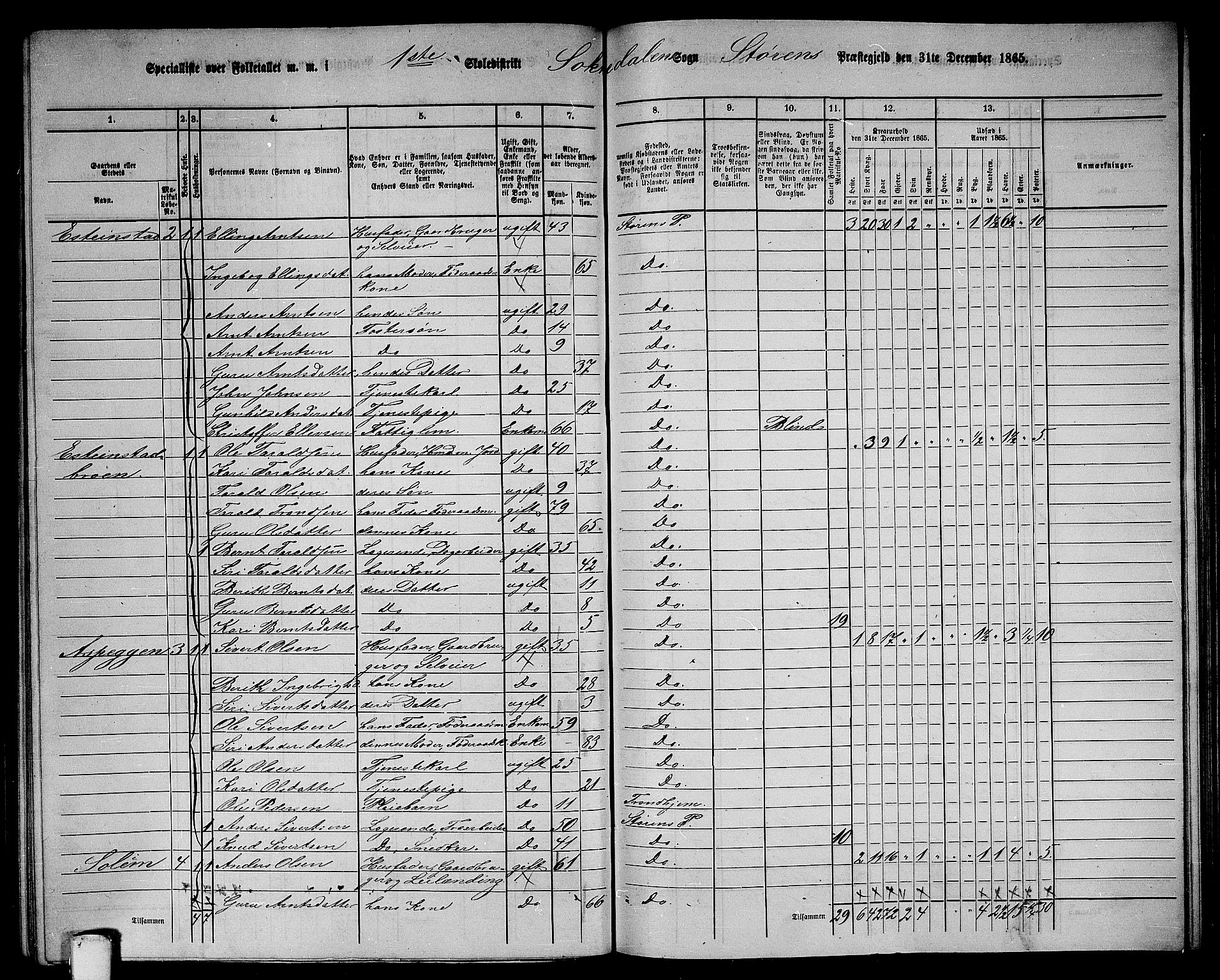 RA, 1865 census for Støren, 1865, p. 216