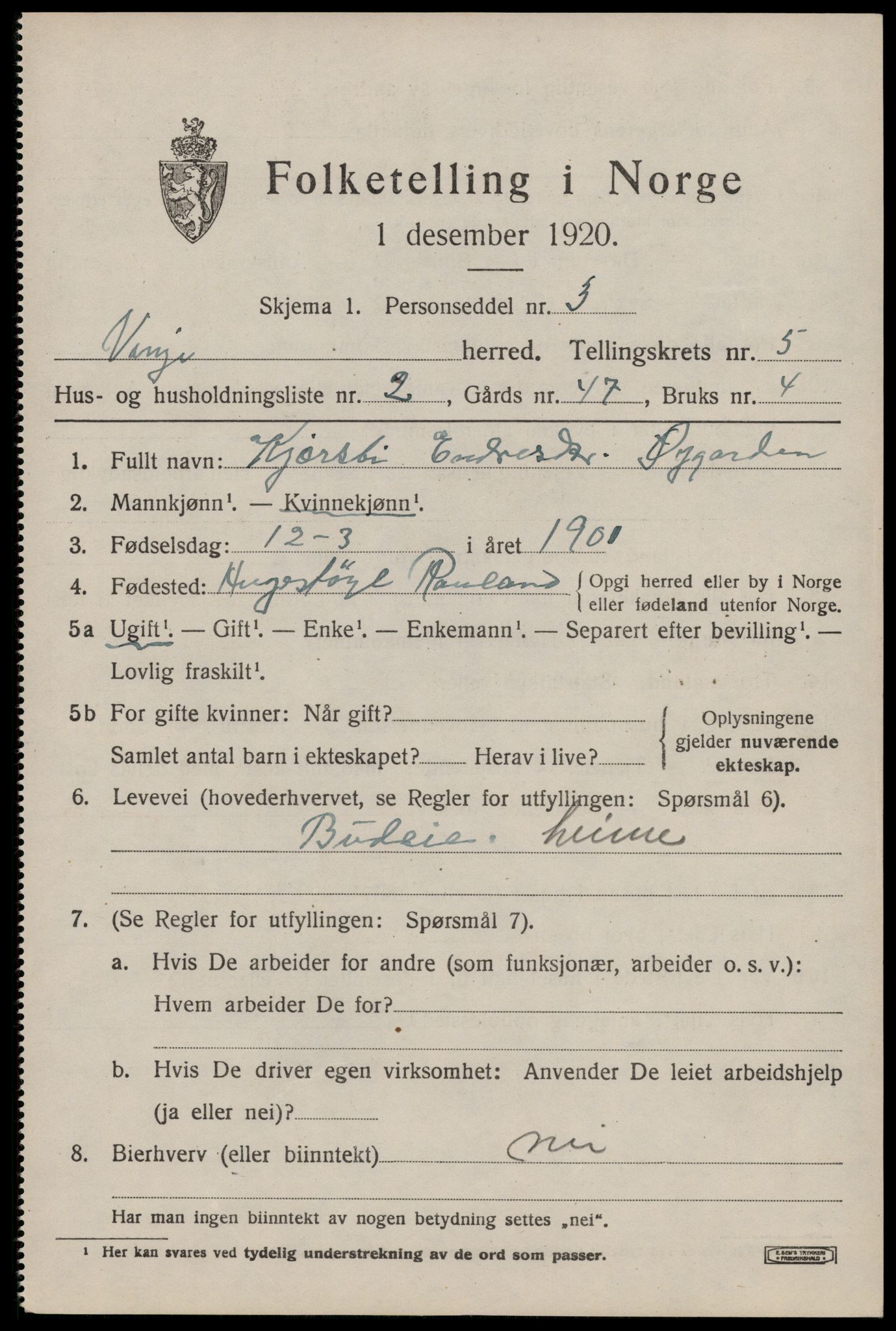 SAKO, 1920 census for Vinje, 1920, p. 1619