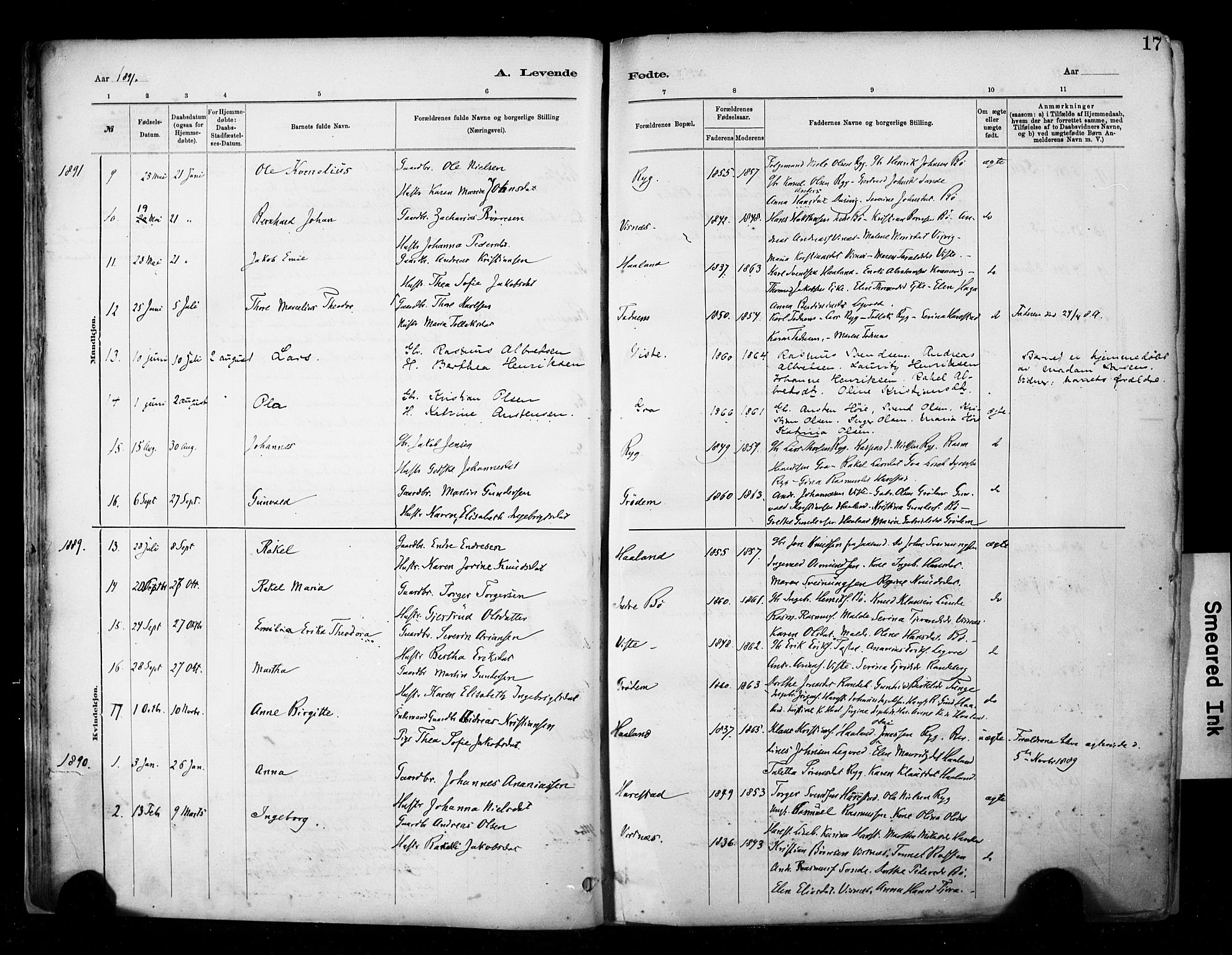 Hetland sokneprestkontor, SAST/A-101826/30/30BA/L0009: Parish register (official) no. A 9, 1882-1918, p. 17