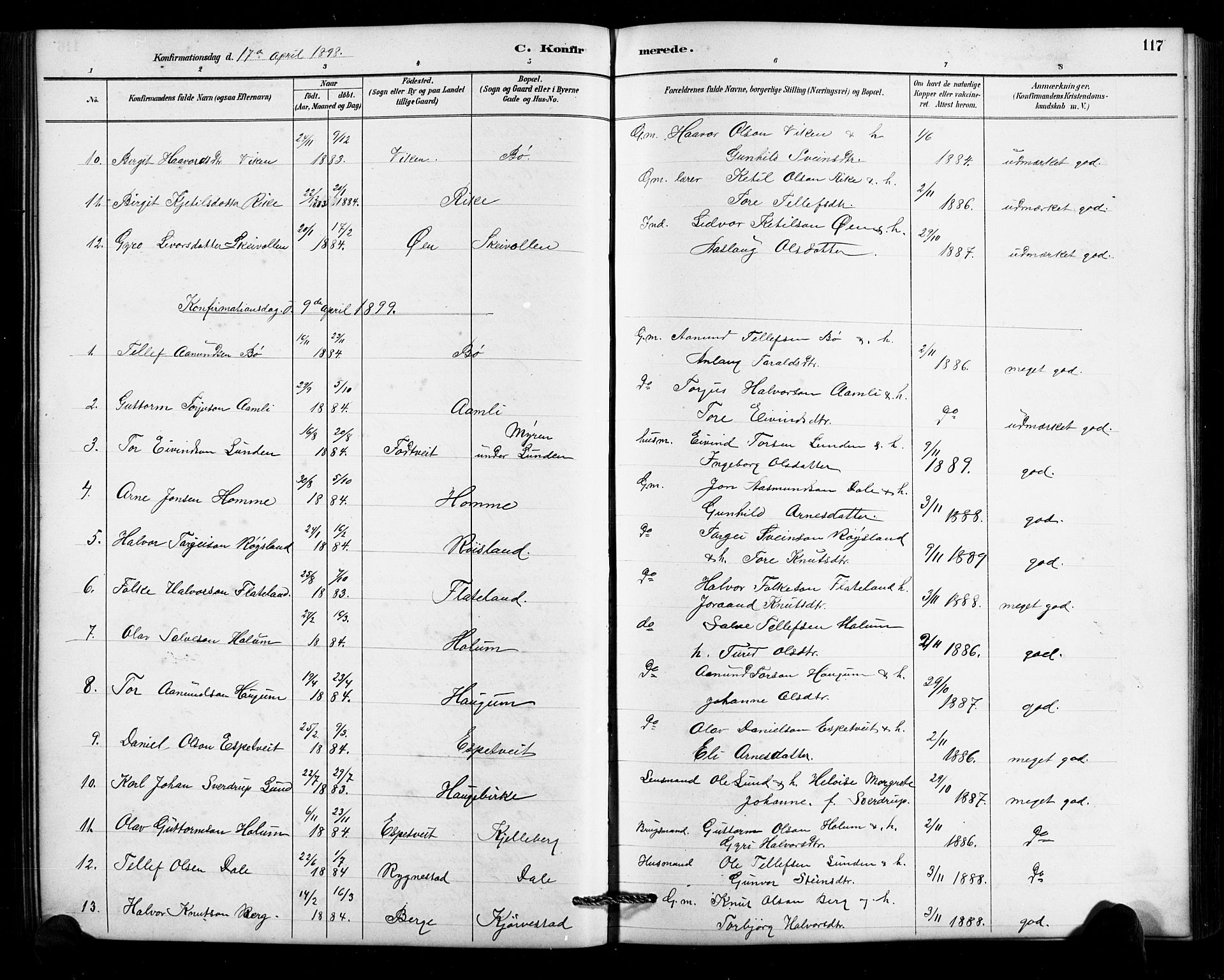 Valle sokneprestkontor, SAK/1111-0044/F/Fb/Fbc/L0004: Parish register (copy) no. B 4, 1890-1928, p. 117