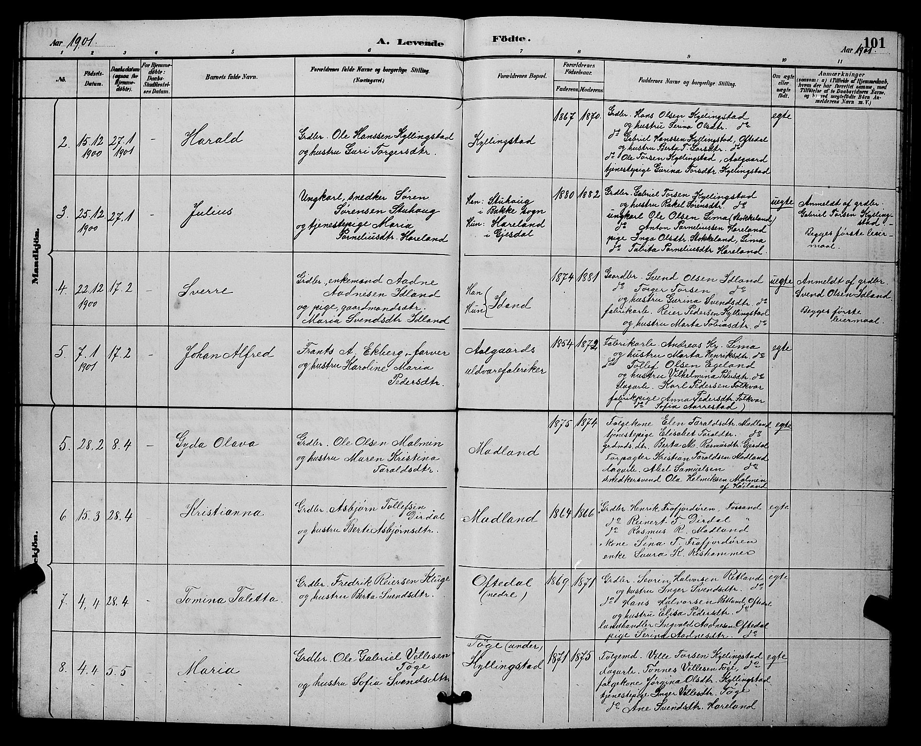 Lye sokneprestkontor, AV/SAST-A-101794/001/30BB/L0008: Parish register (copy) no. B 7, 1887-1901, p. 101