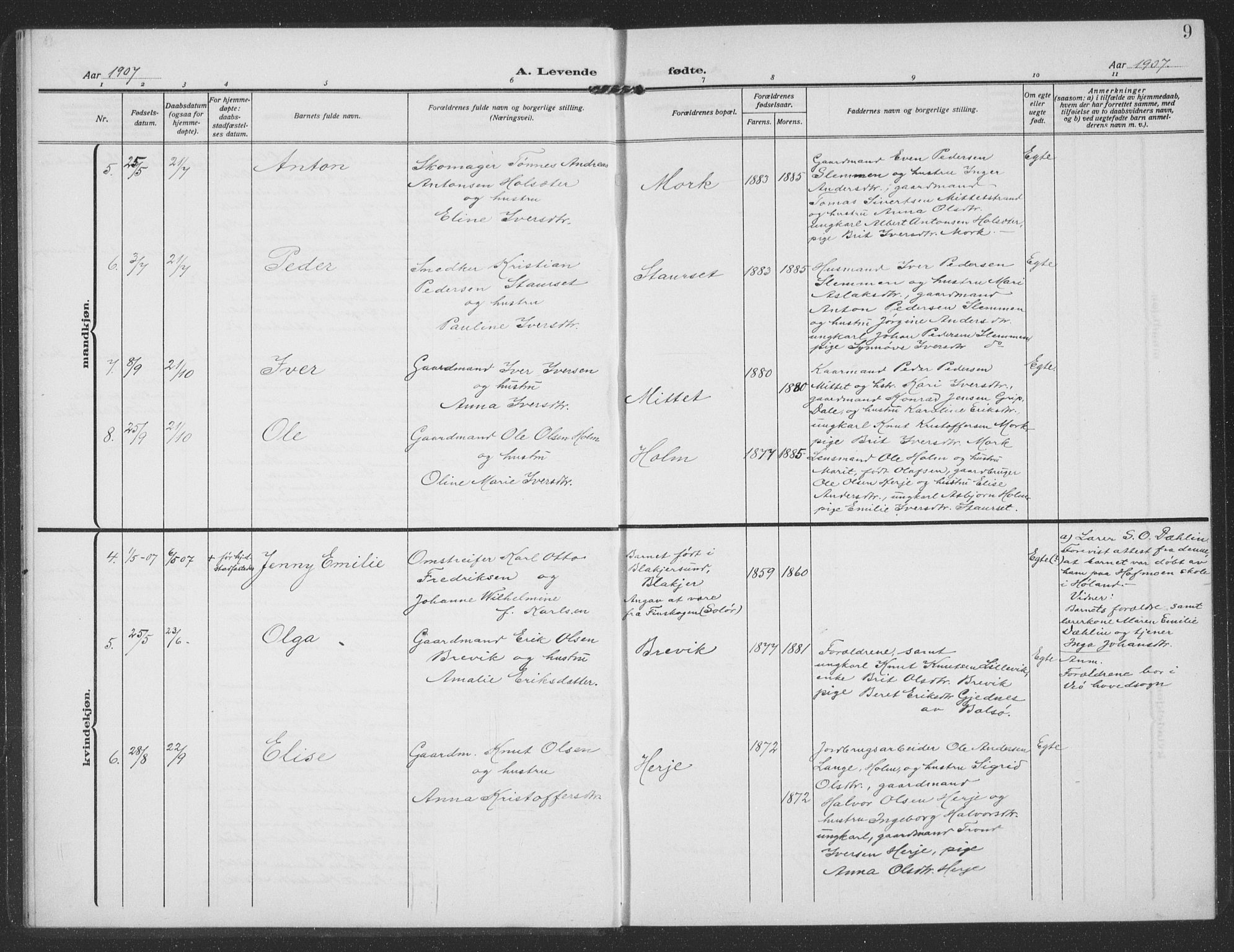 Ministerialprotokoller, klokkerbøker og fødselsregistre - Møre og Romsdal, AV/SAT-A-1454/549/L0615: Parish register (copy) no. 549C01, 1905-1932, p. 9