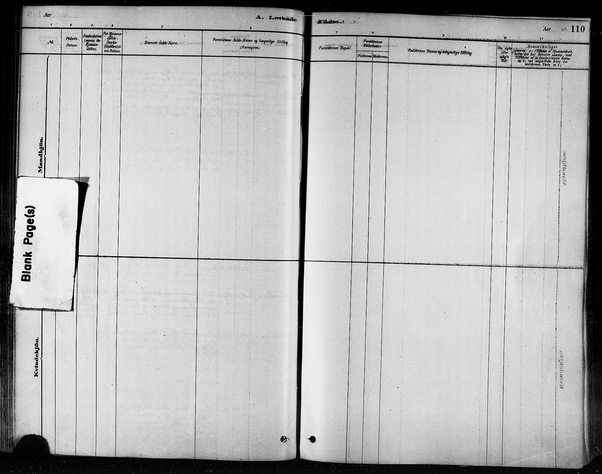 Ministerialprotokoller, klokkerbøker og fødselsregistre - Nord-Trøndelag, SAT/A-1458/746/L0449: Parish register (official) no. 746A07 /3, 1878-1899, p. 110
