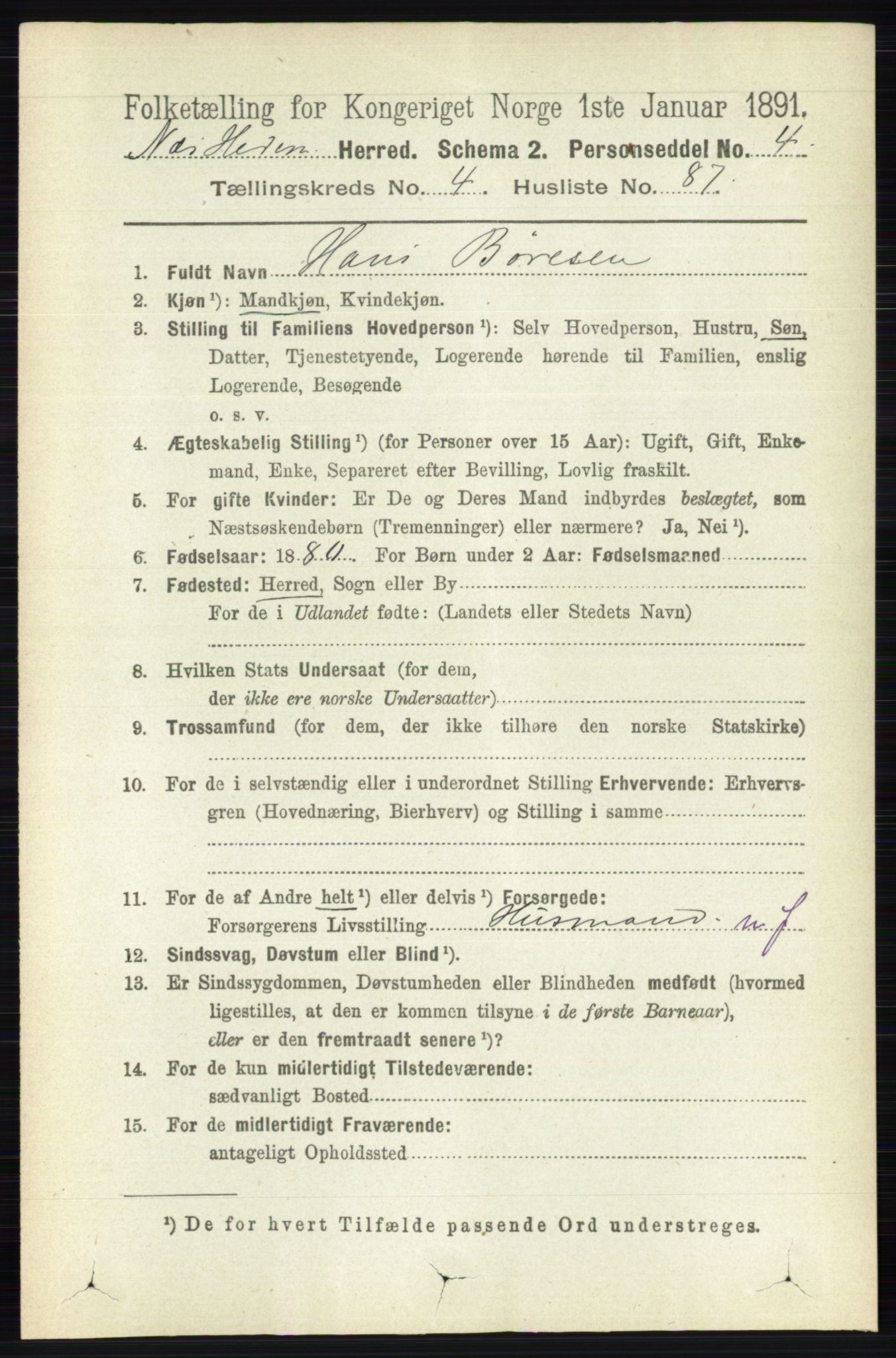 RA, 1891 census for 0411 Nes, 1891, p. 2506