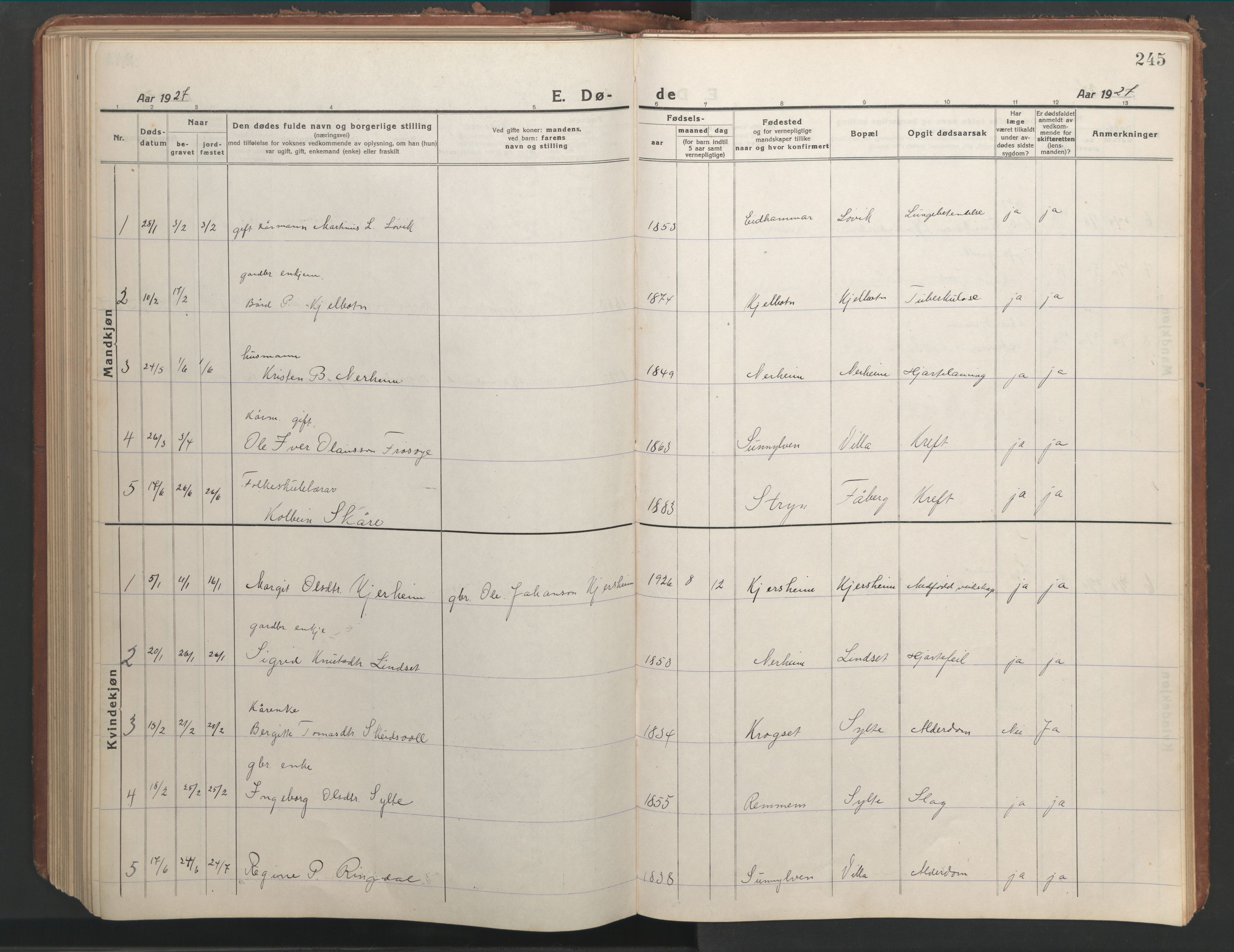 Ministerialprotokoller, klokkerbøker og fødselsregistre - Møre og Romsdal, SAT/A-1454/541/L0548: Parish register (copy) no. 541C03, 1921-1960, p. 245