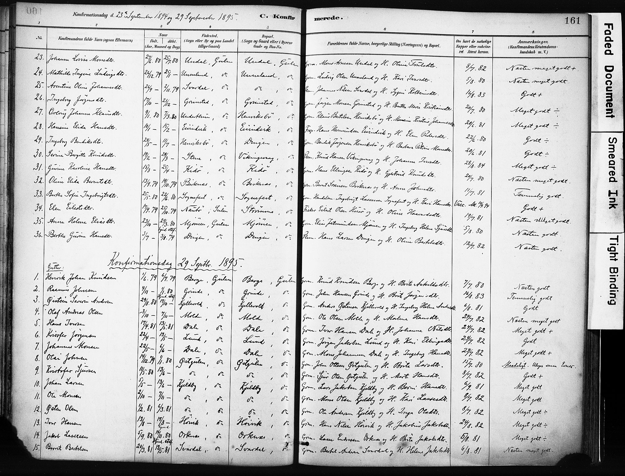 Gulen sokneprestembete, SAB/A-80201/H/Haa/Haab/L0001: Parish register (official) no. B 1, 1881-1905, p. 161