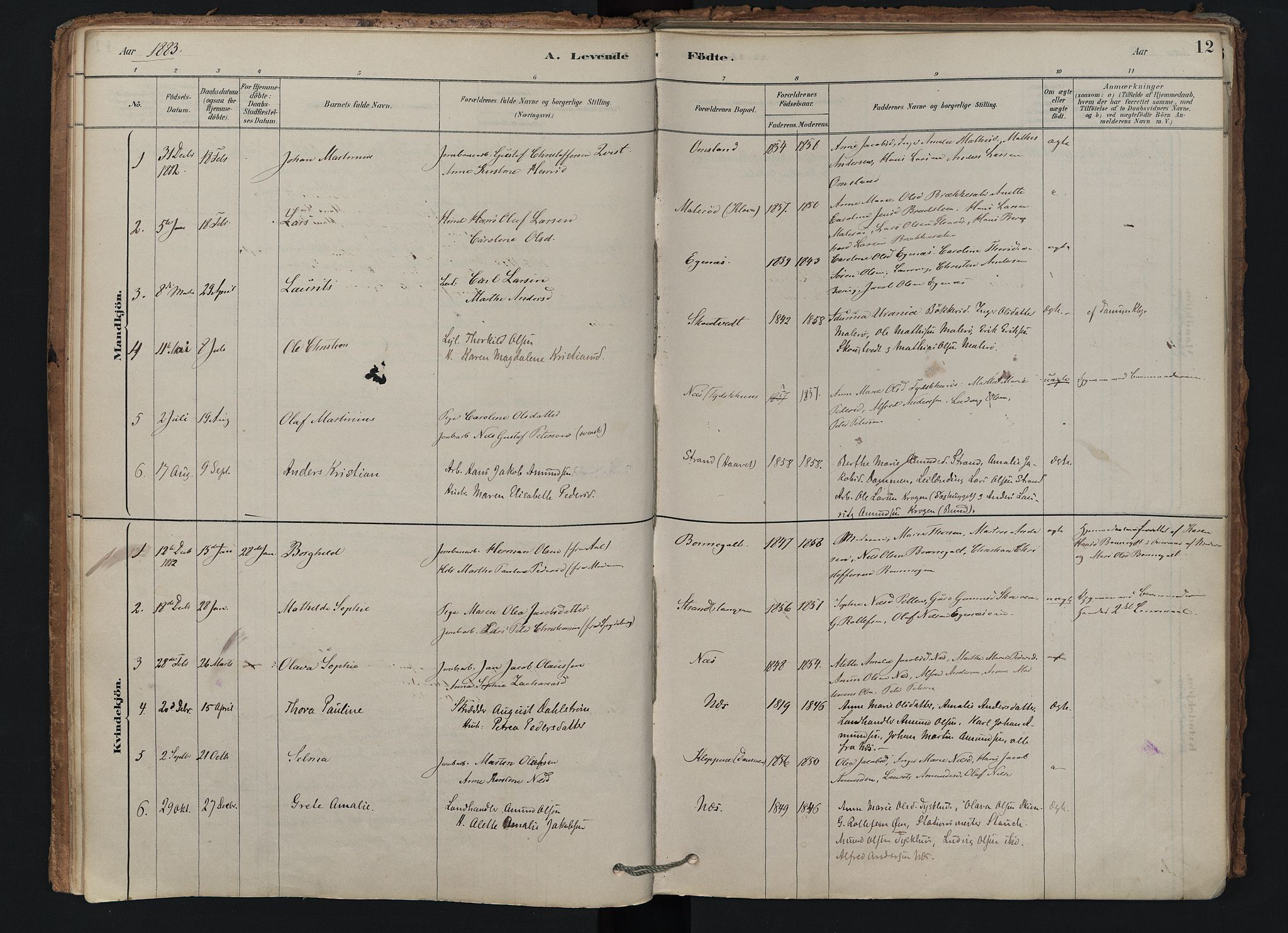 Brunlanes kirkebøker, SAKO/A-342/F/Fd/L0001: Parish register (official) no. IV 1, 1878-1917, p. 12