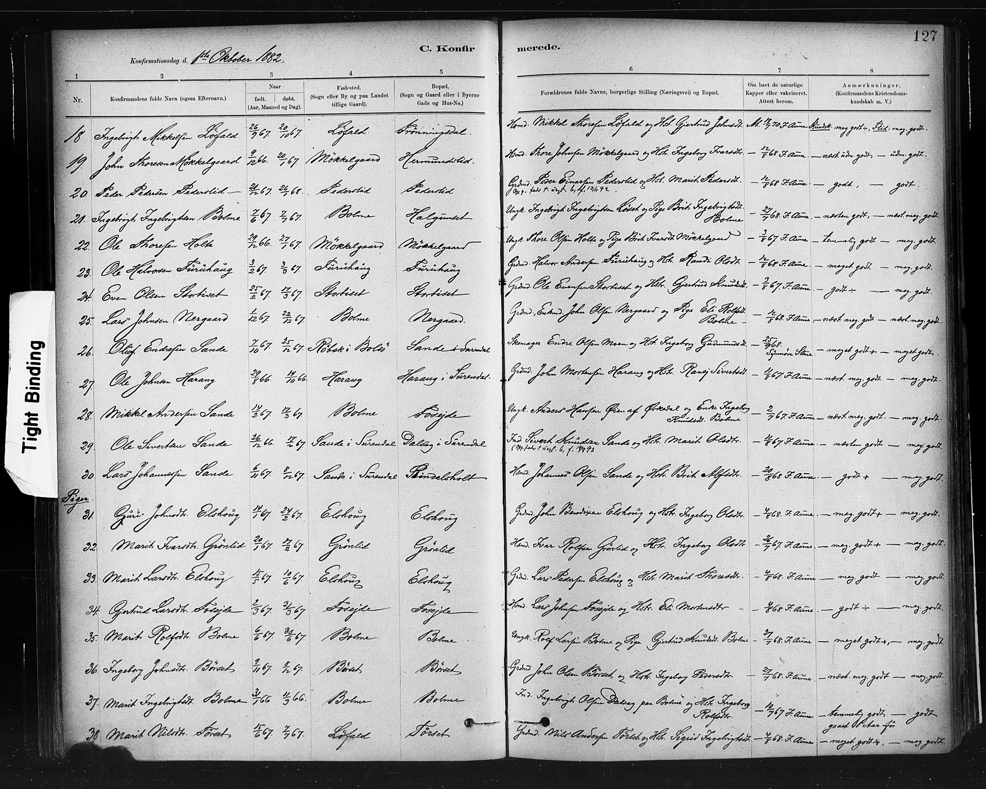 Ministerialprotokoller, klokkerbøker og fødselsregistre - Møre og Romsdal, AV/SAT-A-1454/598/L1069: Parish register (official) no. 598A03, 1882-1895, p. 127