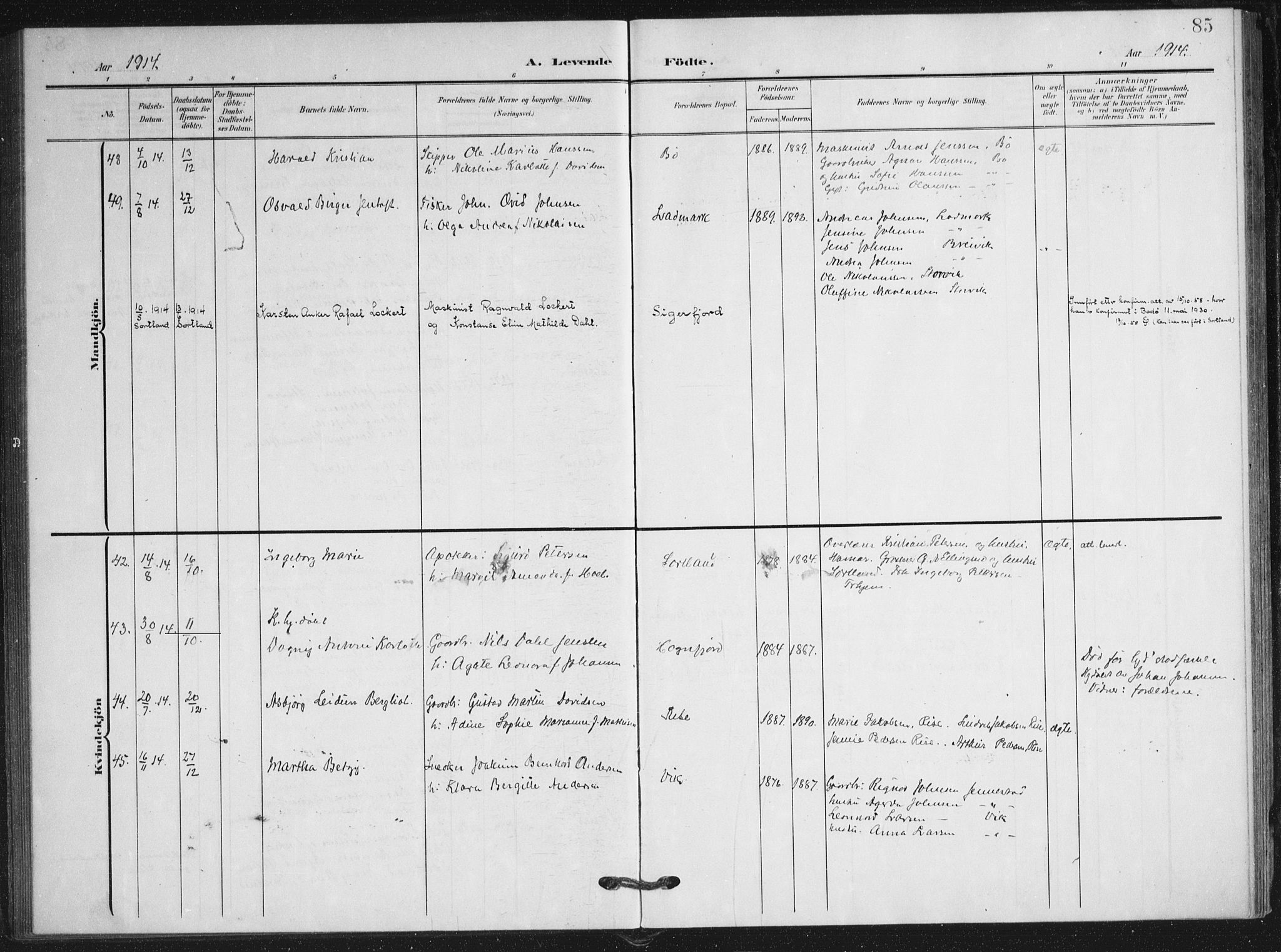 Ministerialprotokoller, klokkerbøker og fødselsregistre - Nordland, AV/SAT-A-1459/895/L1373: Parish register (official) no. 895A08, 1905-1915, p. 85