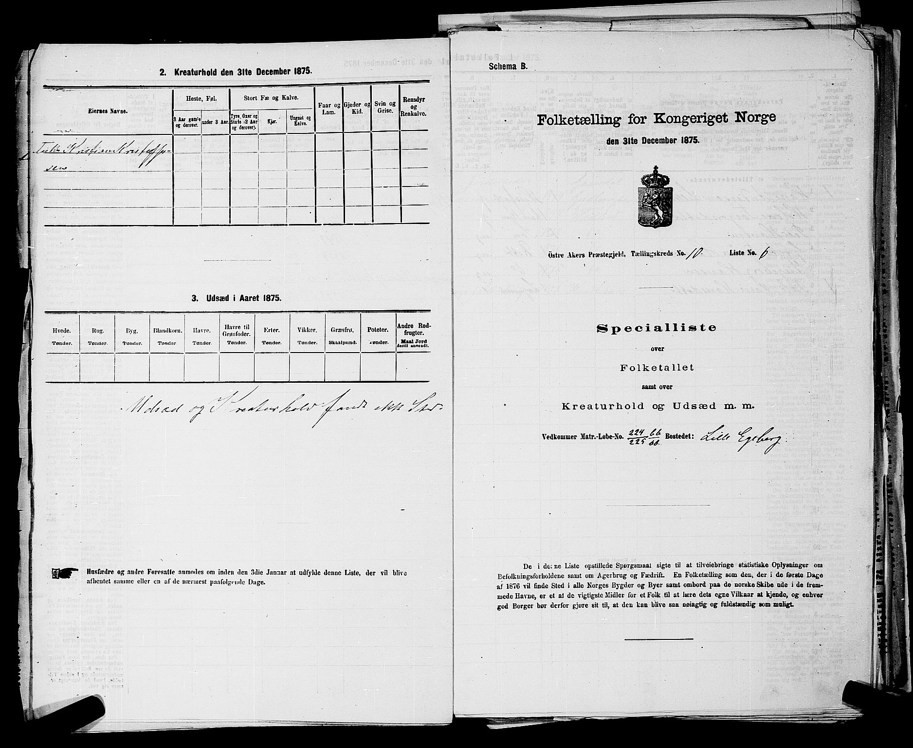 RA, 1875 census for 0218bP Østre Aker, 1875, p. 3270