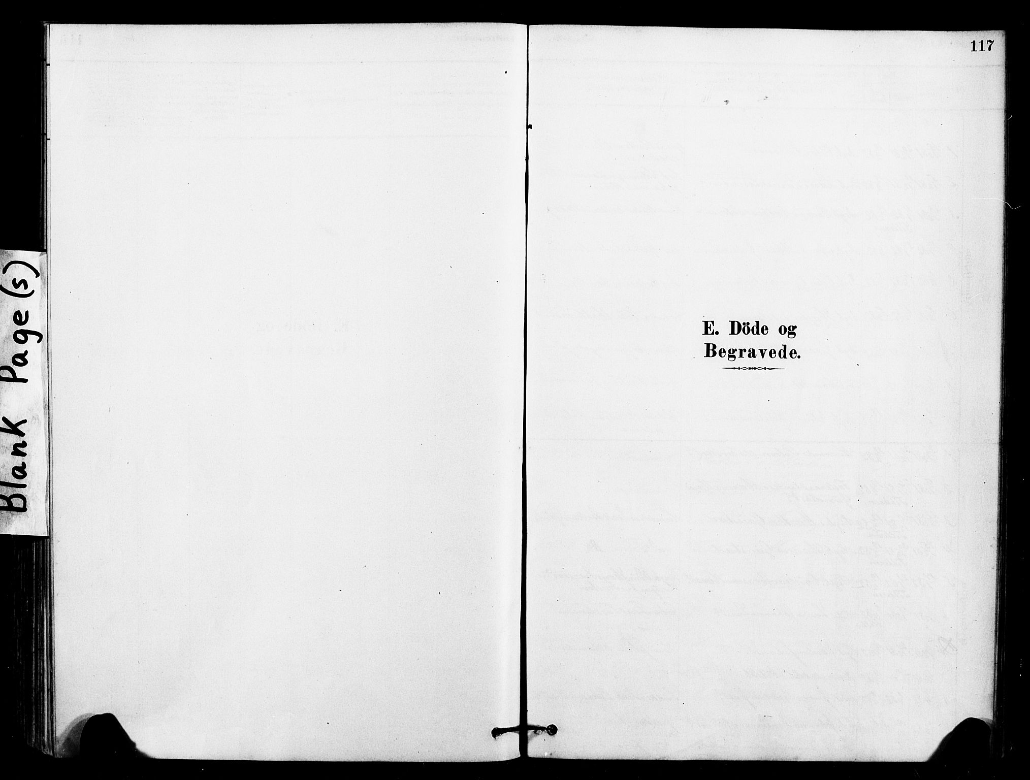 Ministerialprotokoller, klokkerbøker og fødselsregistre - Sør-Trøndelag, SAT/A-1456/641/L0595: Parish register (official) no. 641A01, 1882-1897, p. 117