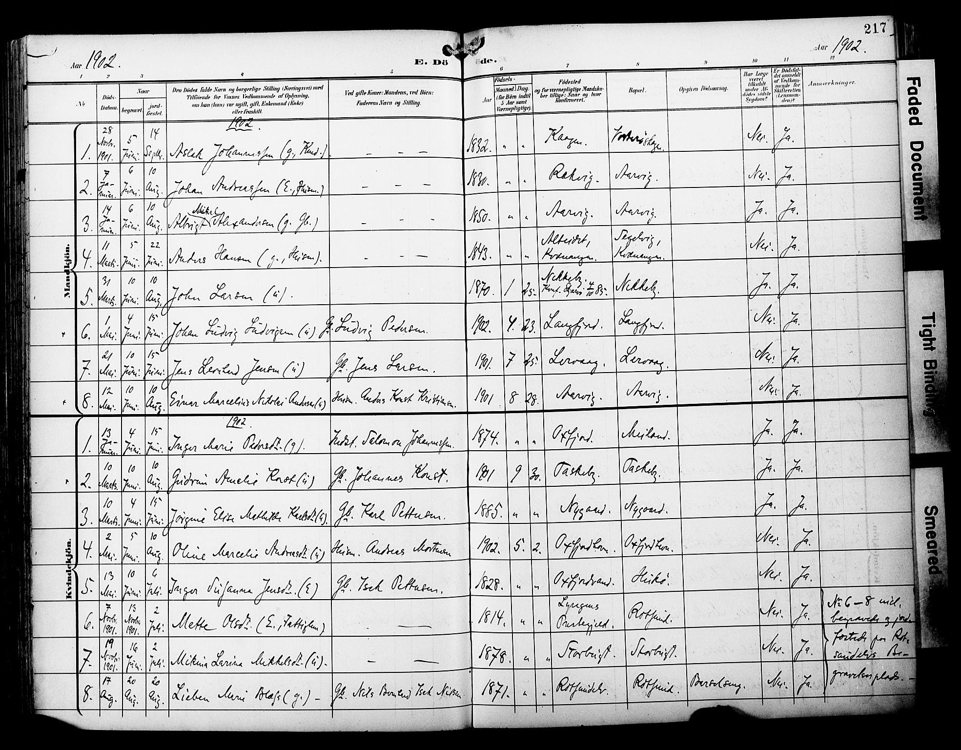 Skjervøy sokneprestkontor, SATØ/S-1300/H/Ha/Haa/L0015kirke: Parish register (official) no. 15, 1899-1909, p. 217