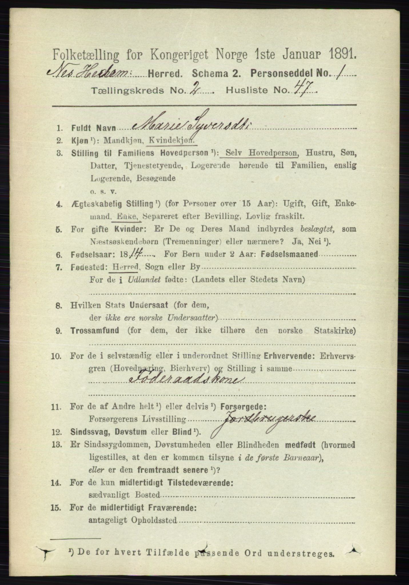 RA, 1891 census for 0411 Nes, 1891, p. 1410