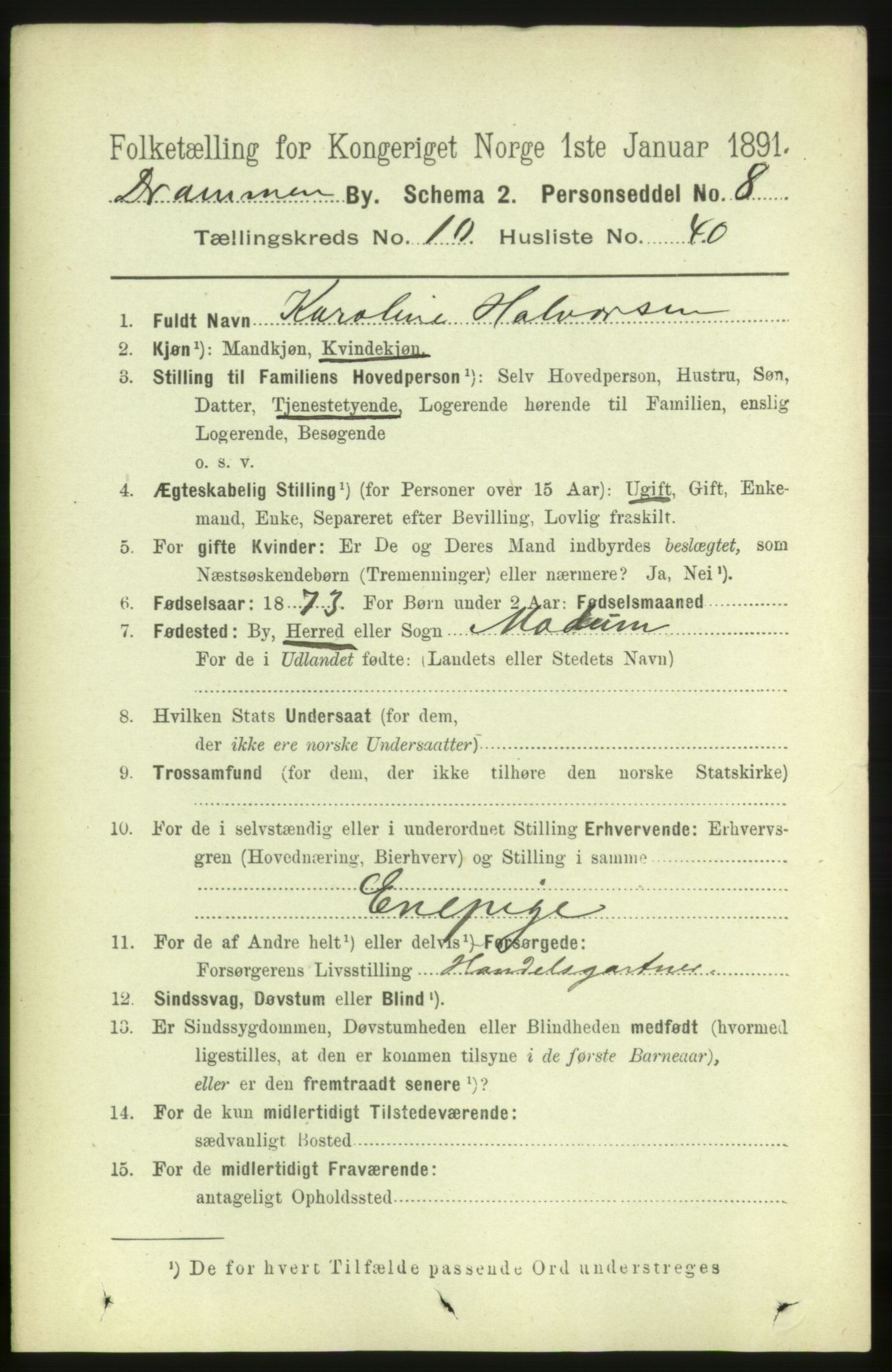 RA, 1891 census for 0602 Drammen, 1891, p. 8326