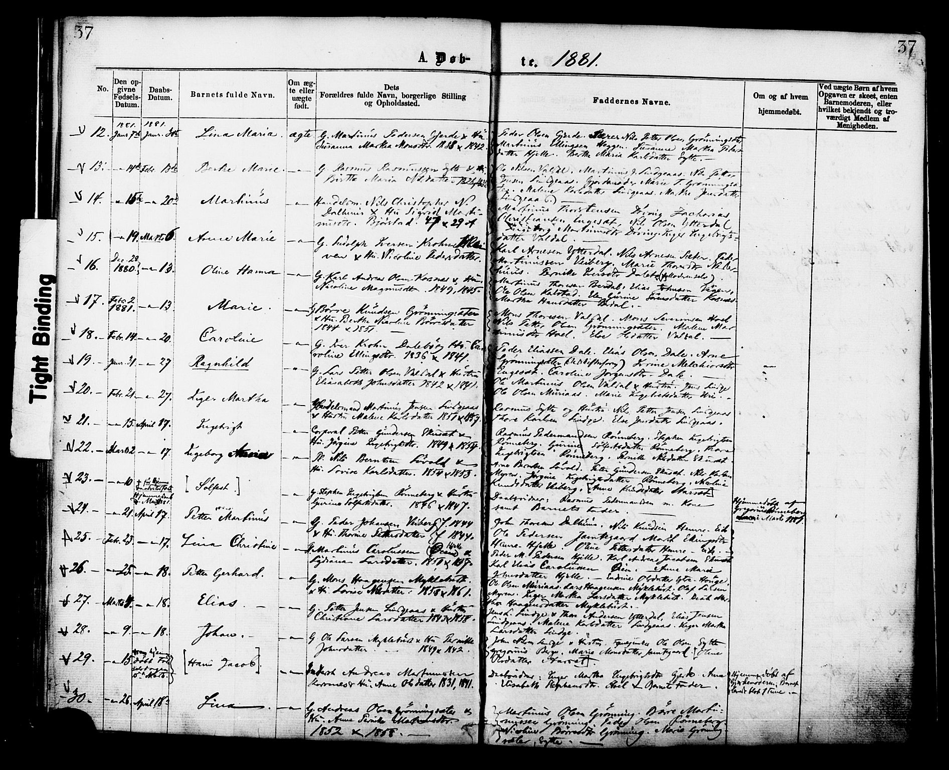 Ministerialprotokoller, klokkerbøker og fødselsregistre - Møre og Romsdal, AV/SAT-A-1454/519/L0254: Parish register (official) no. 519A13, 1868-1883, p. 37