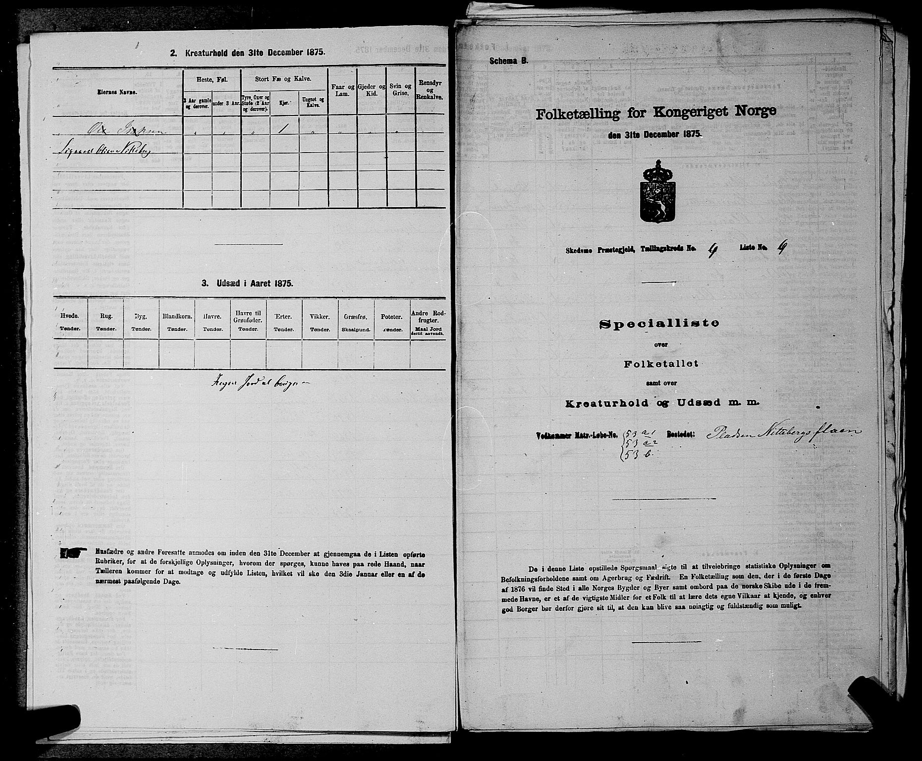 RA, 1875 census for 0231P Skedsmo, 1875, p. 520