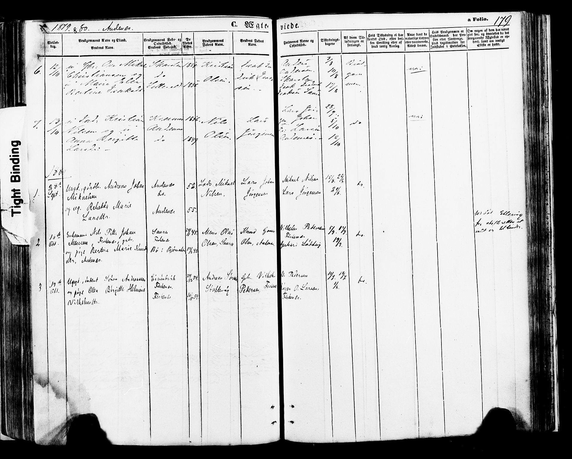 Ministerialprotokoller, klokkerbøker og fødselsregistre - Nordland, AV/SAT-A-1459/897/L1398: Parish register (official) no. 897A05 /2, 1867-1880, p. 179