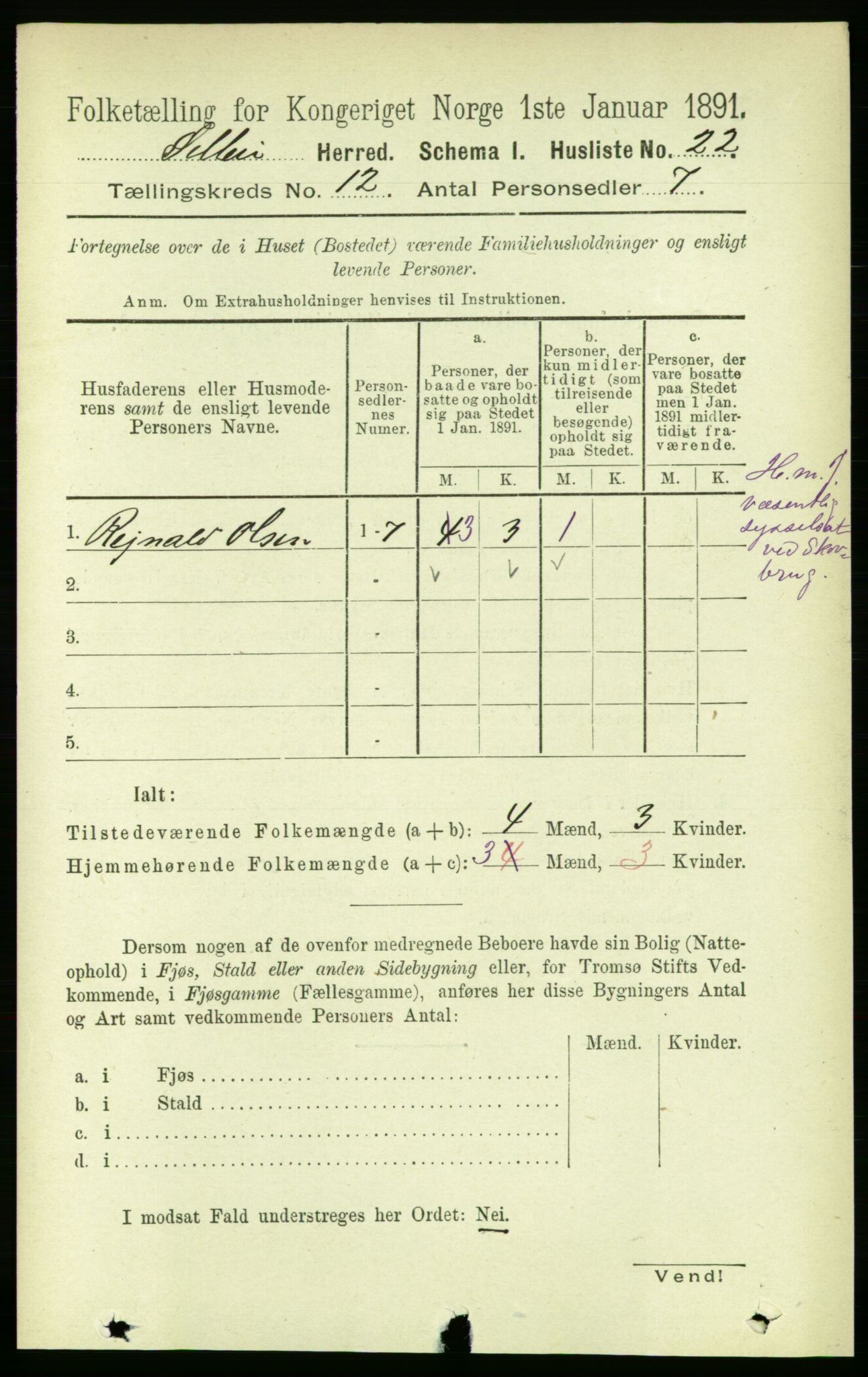 RA, 1891 census for 1664 Selbu, 1891, p. 4393