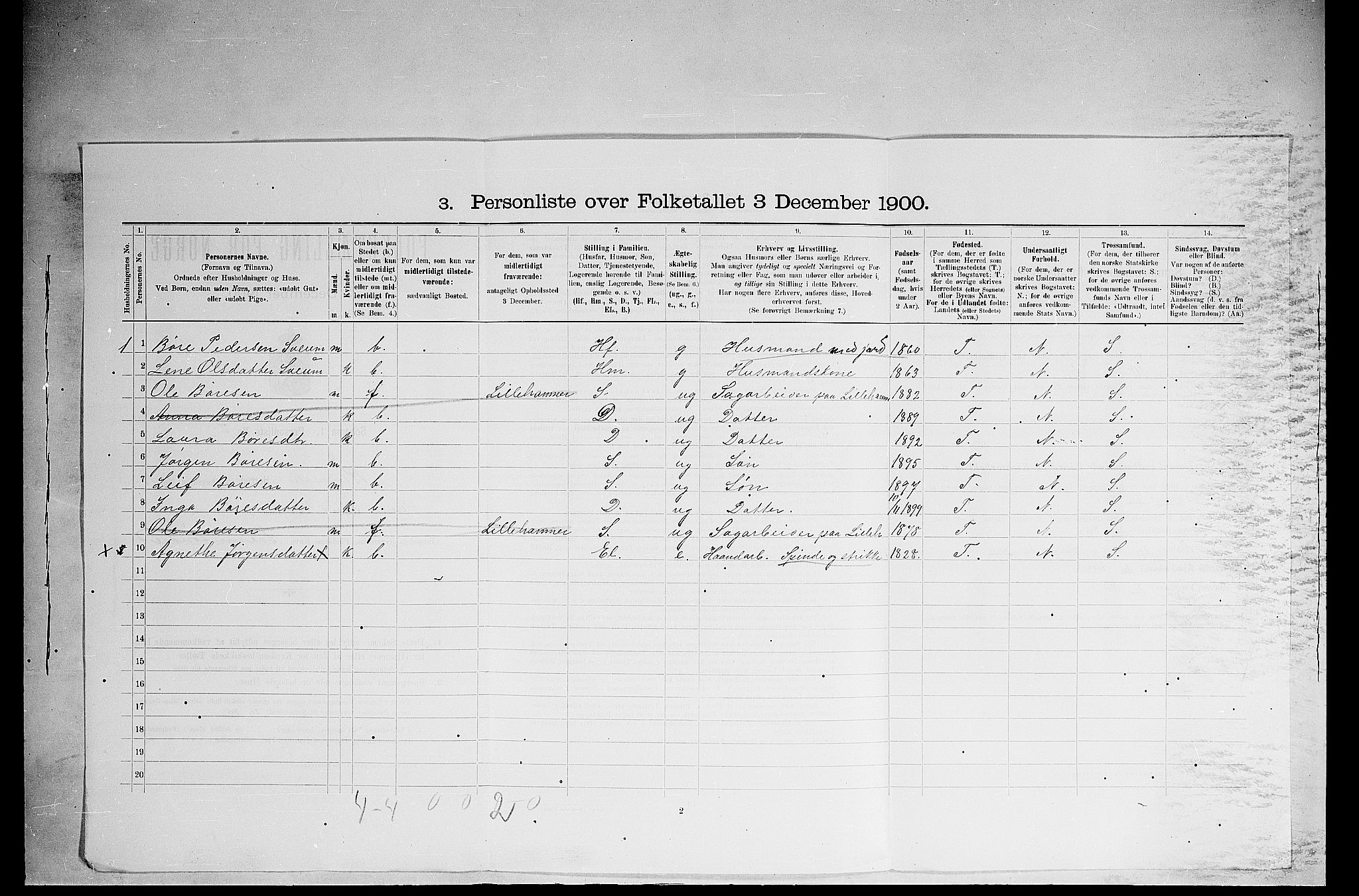 SAH, 1900 census for Ringsaker, 1900, p. 3243